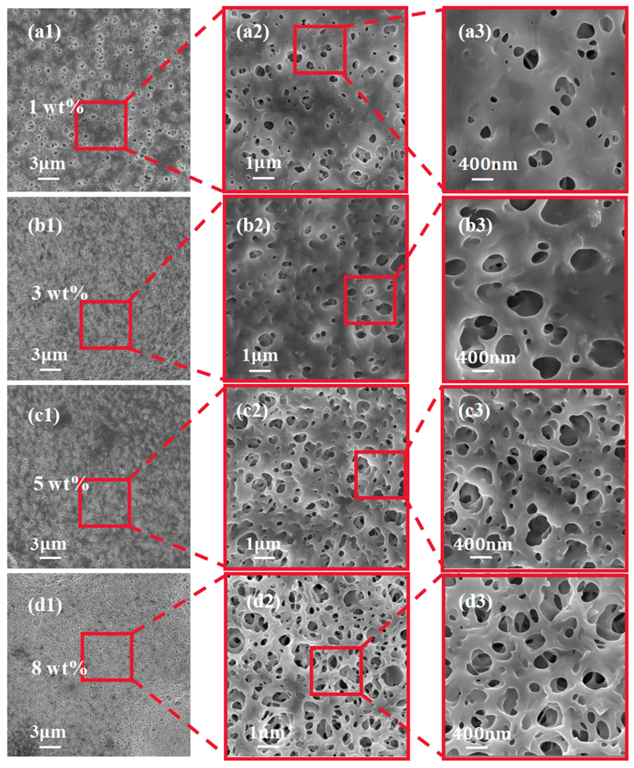 Coatings 14 01098 g003