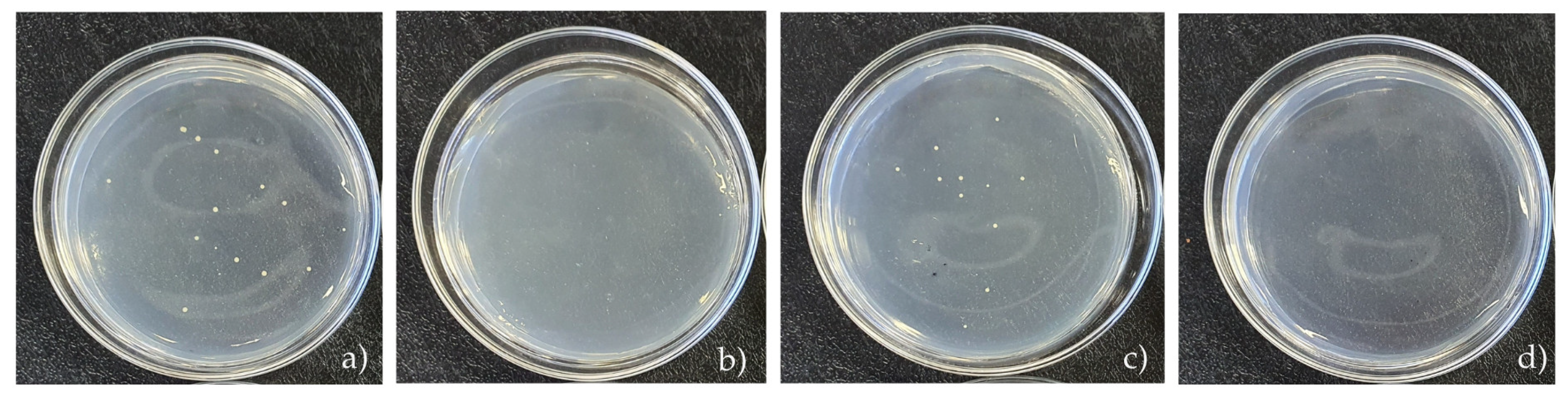 Coatings 14 01100 g007