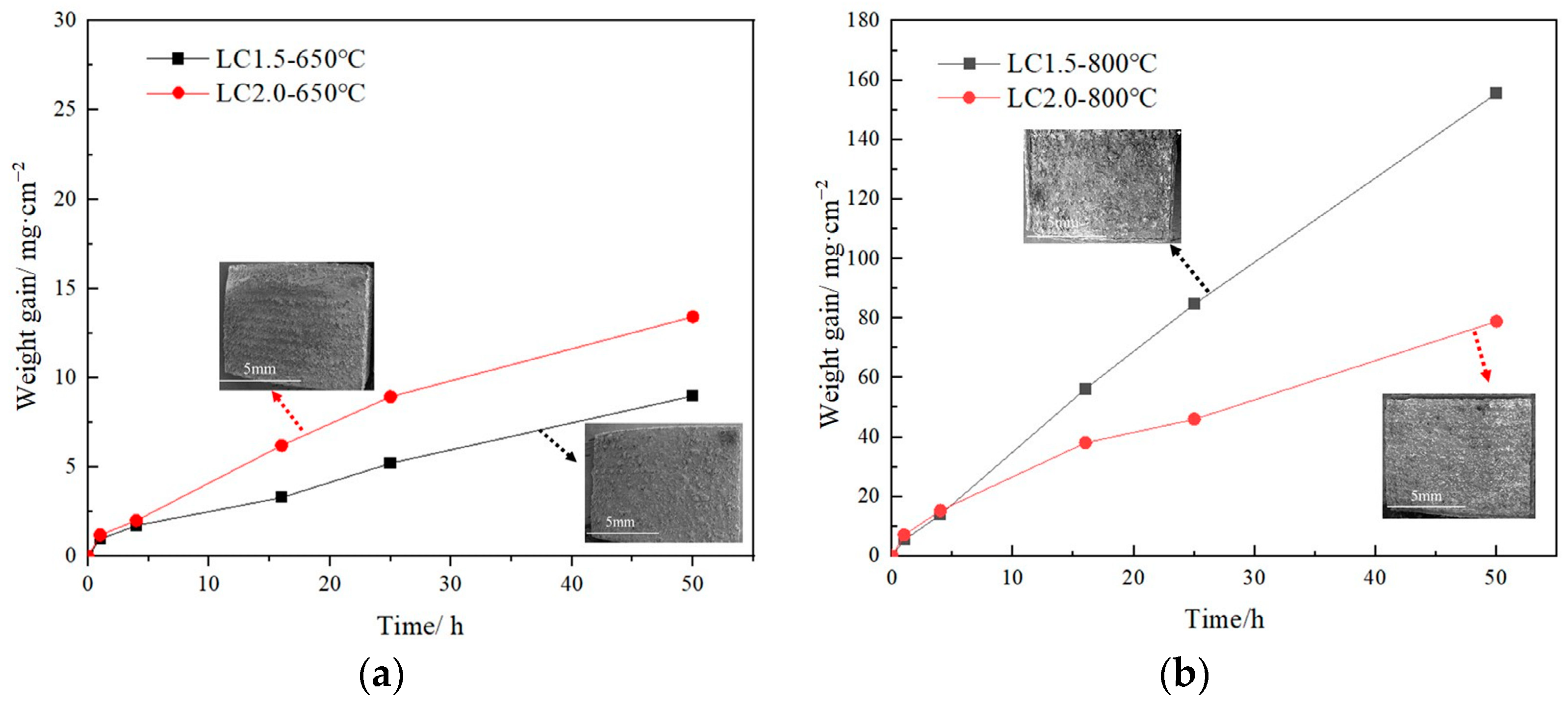 Coatings 14 01104 g001
