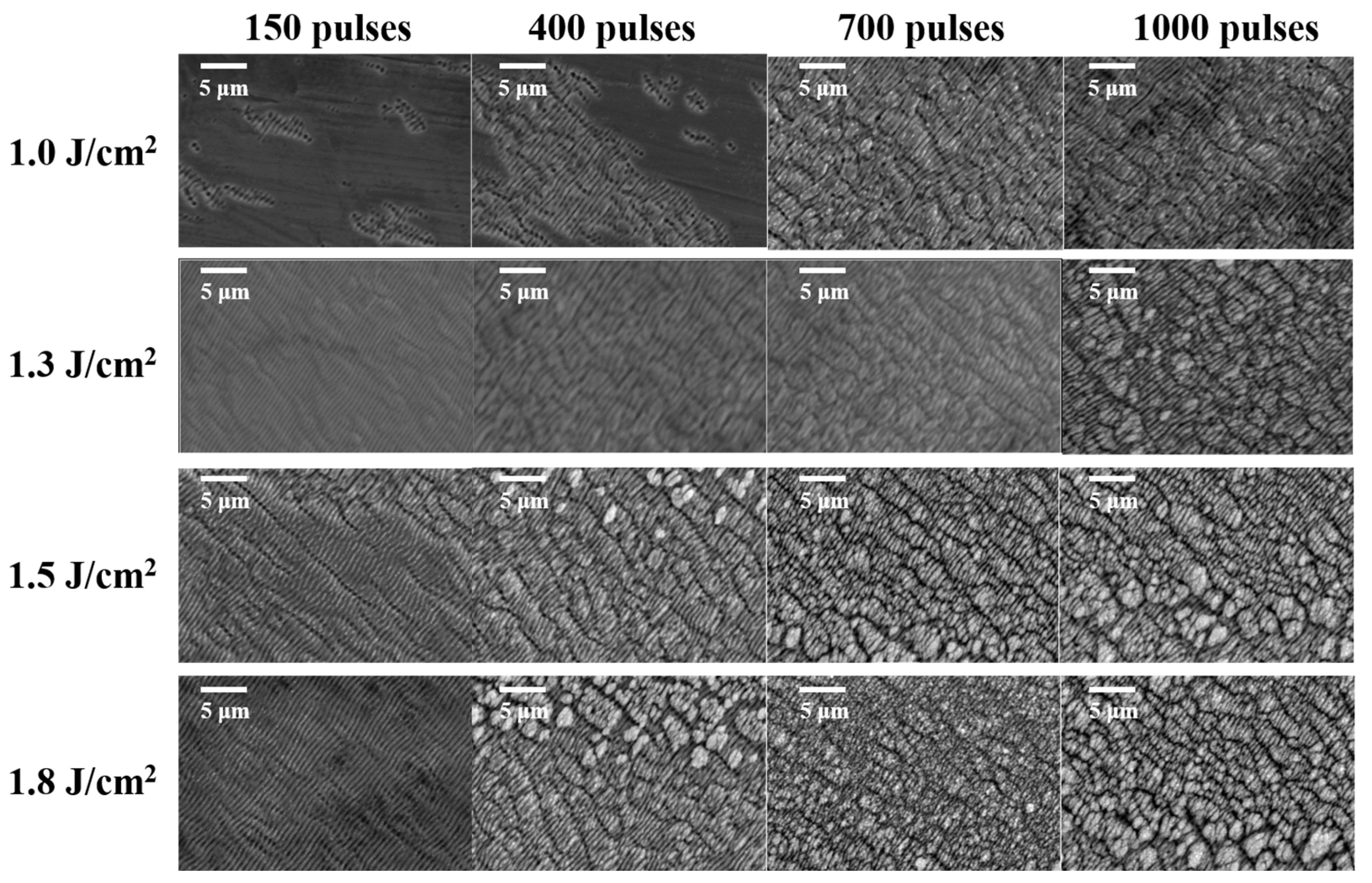 Coatings 14 01107 g003 Coatings 14 01107 g003