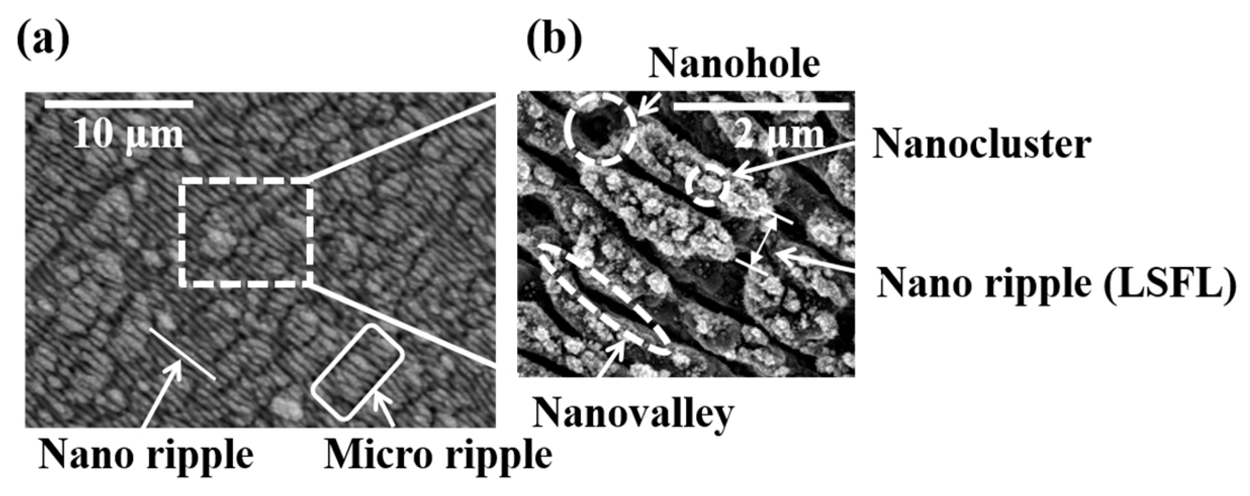 Coatings 14 01107 g004 Coatings 14 01107 g004