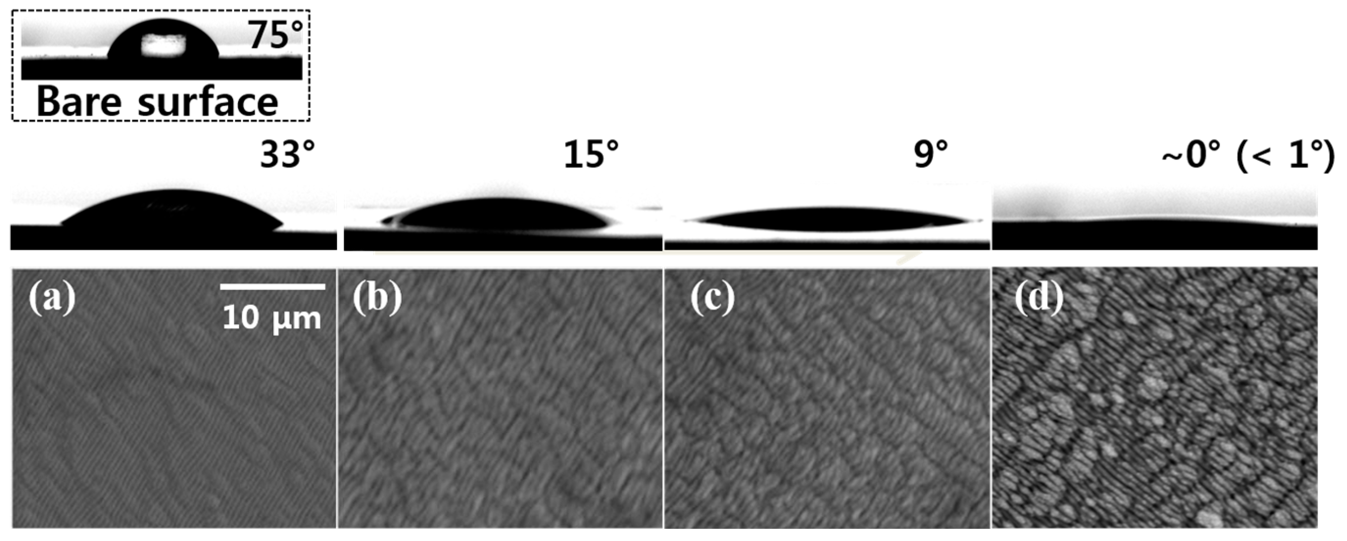 Coatings 14 01107 g006 Coatings 14 01107 g006