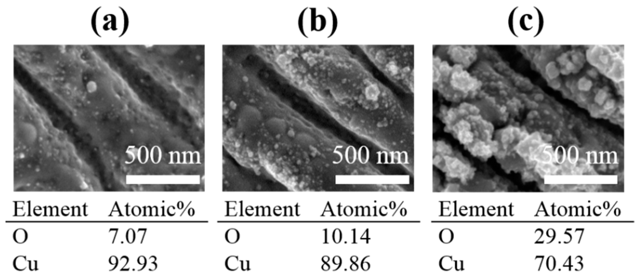 Coatings 14 01107 g009 Coatings 14 01107 g009
