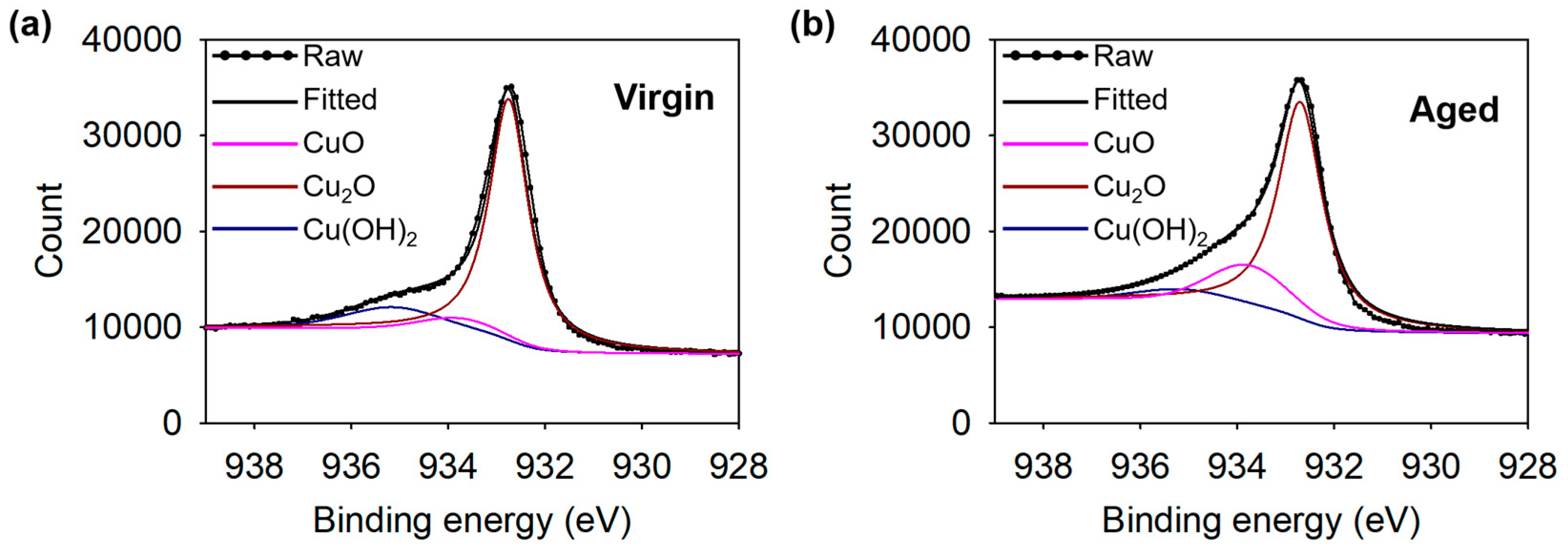 Coatings 14 01107 g010 Coatings 14 01107 g010