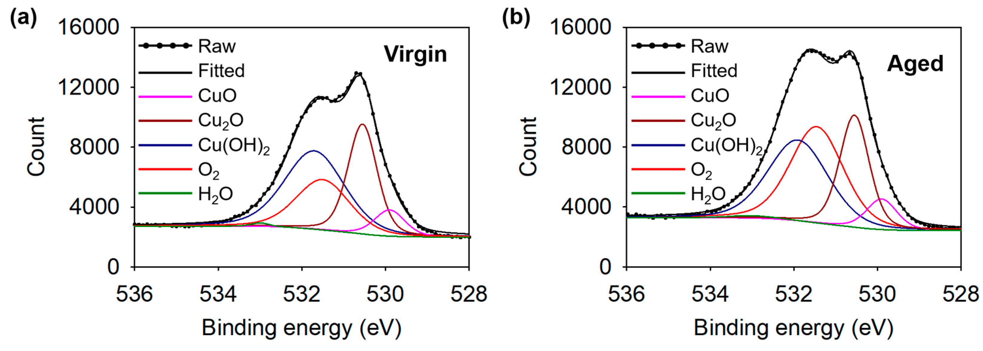 Coatings 14 01107 g012 Coatings 14 01107 g012