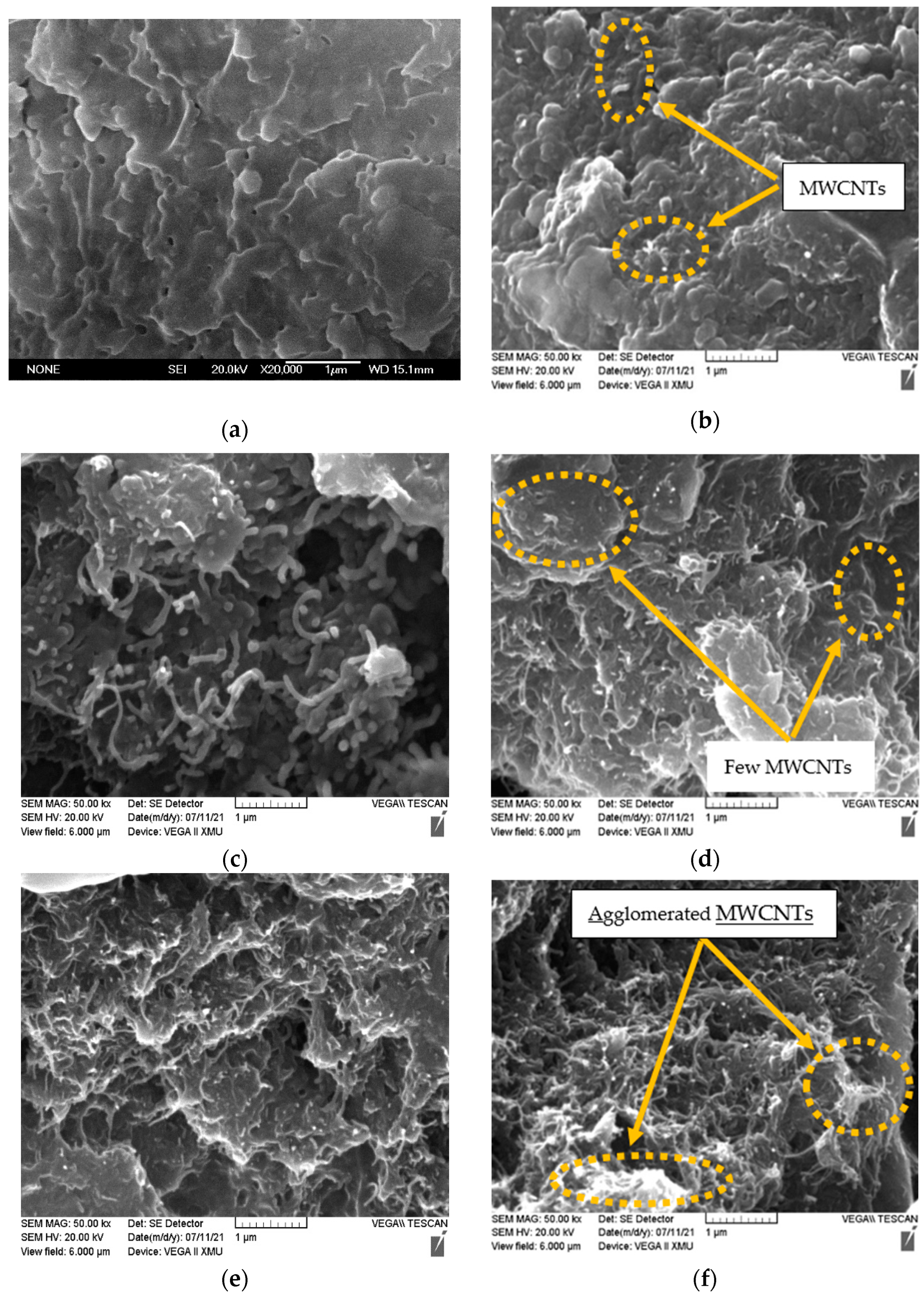 Coatings 14 01108 g003