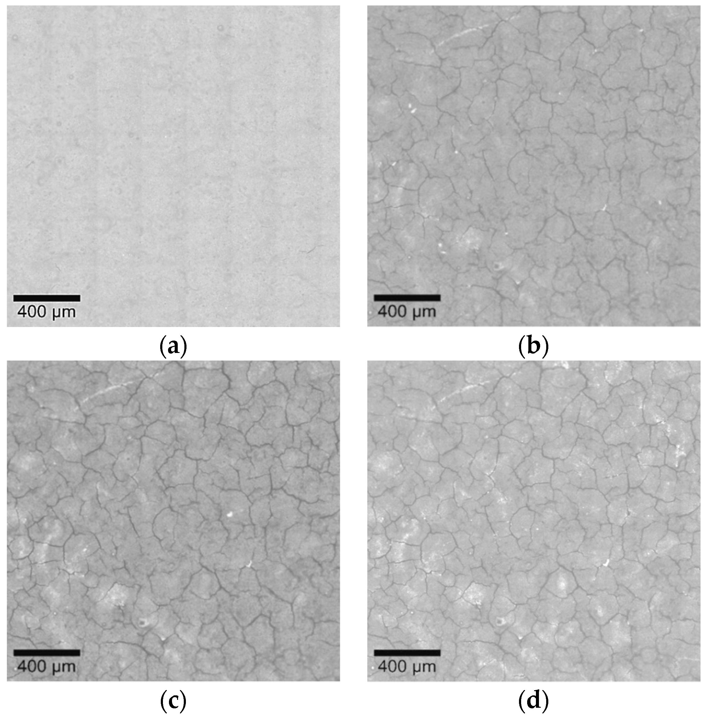 Coatings 14 01111 g002 Coatings 14 01111 g002