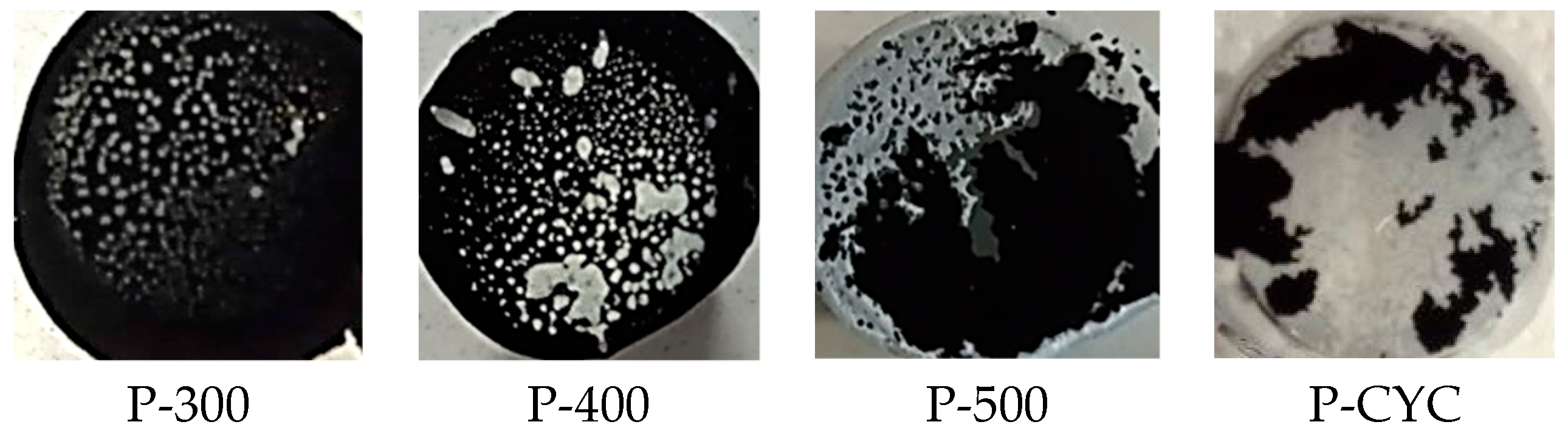 Coatings 14 01111 g005 Coatings 14 01111 g005