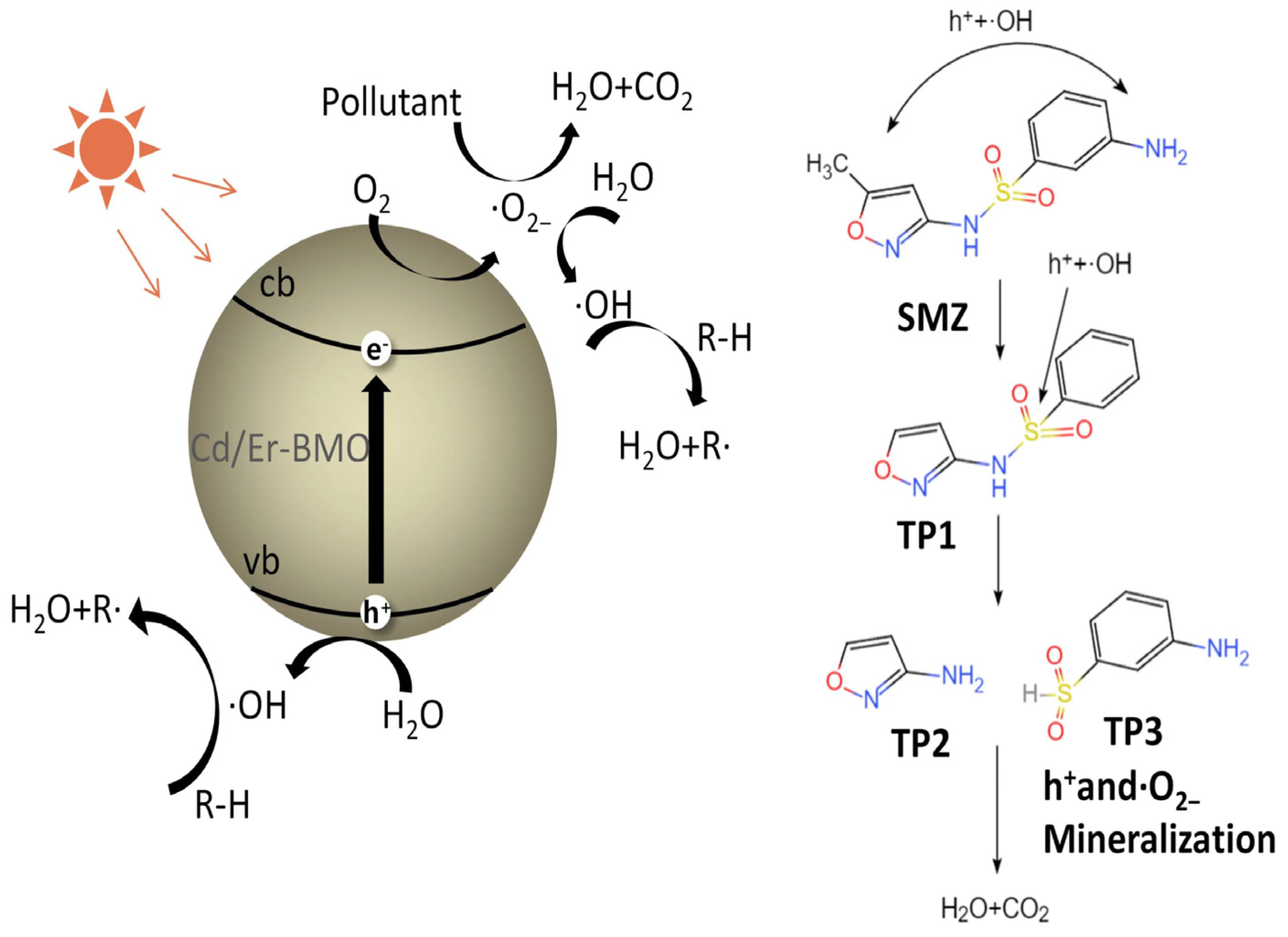 Coatings 14 01112 g005
