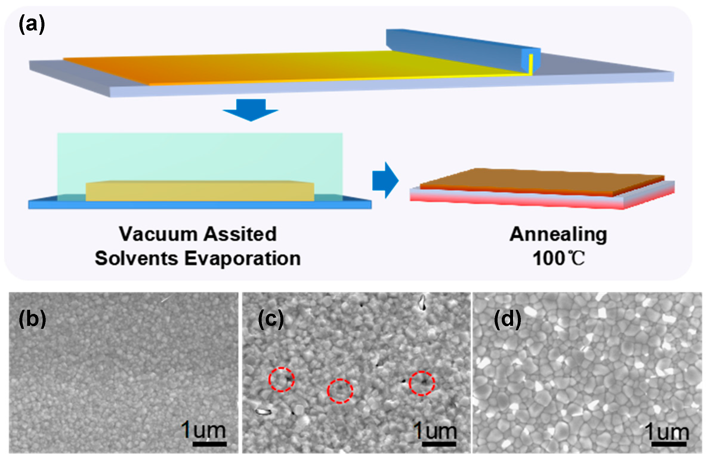 Coatings 14 01113 g001