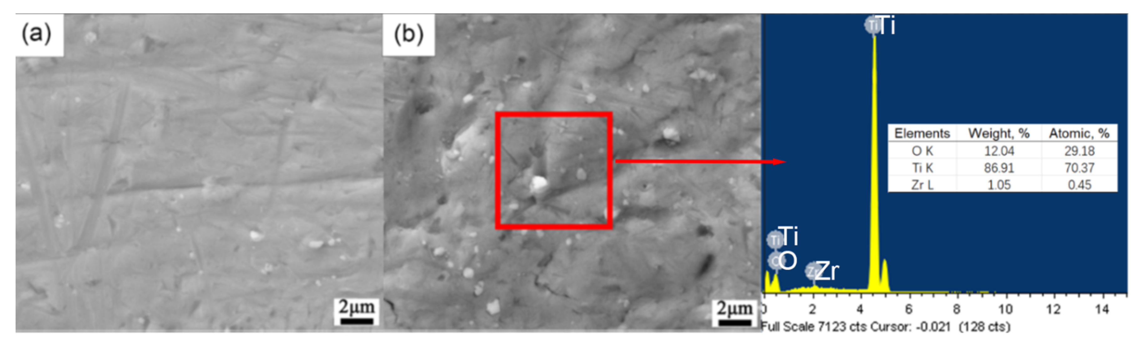 Coatings 14 01114 g003