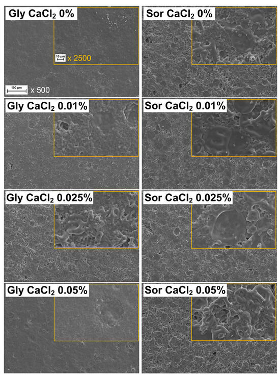 Impact of Calcium Chloride Addition on the Microstructural