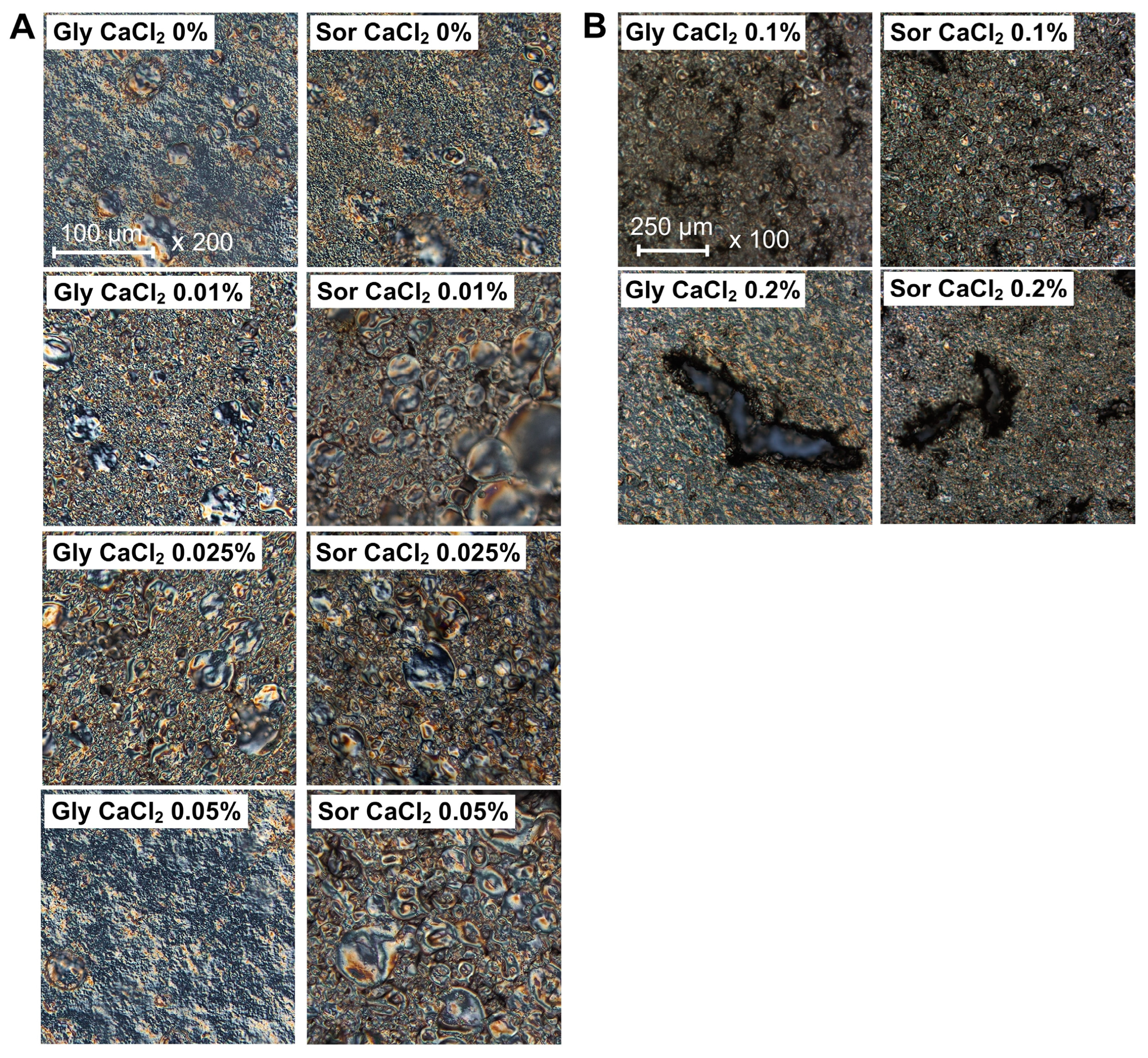 Coatings 14 01116 g002