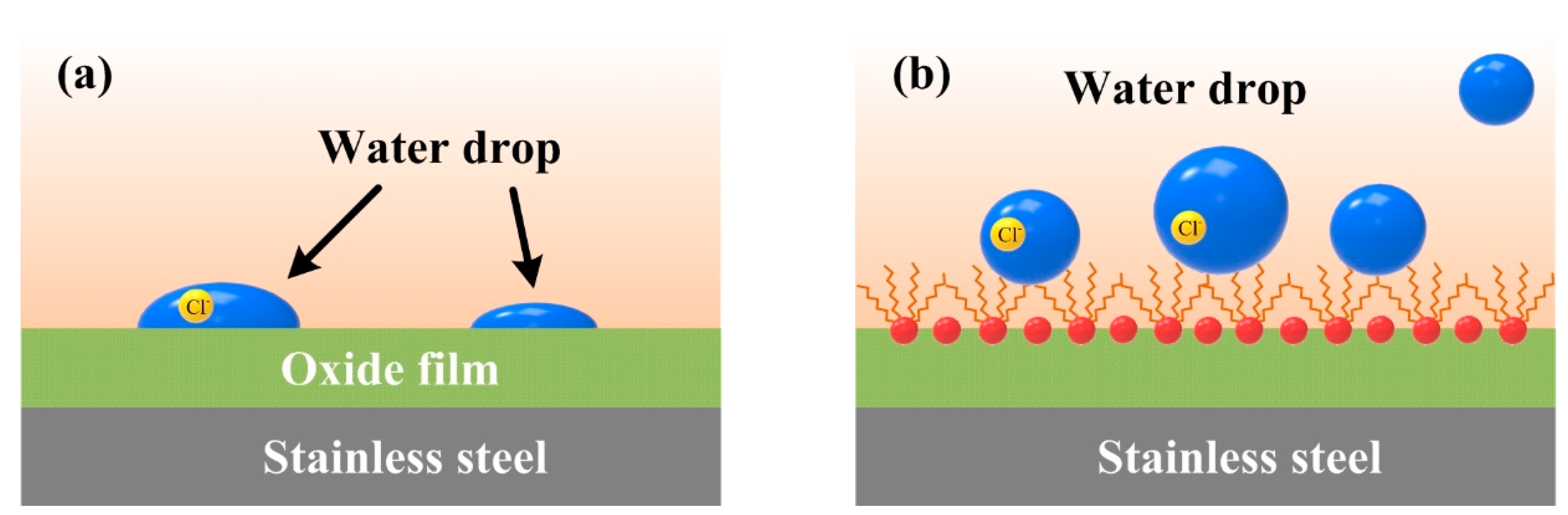 Coatings 14 01117 g011