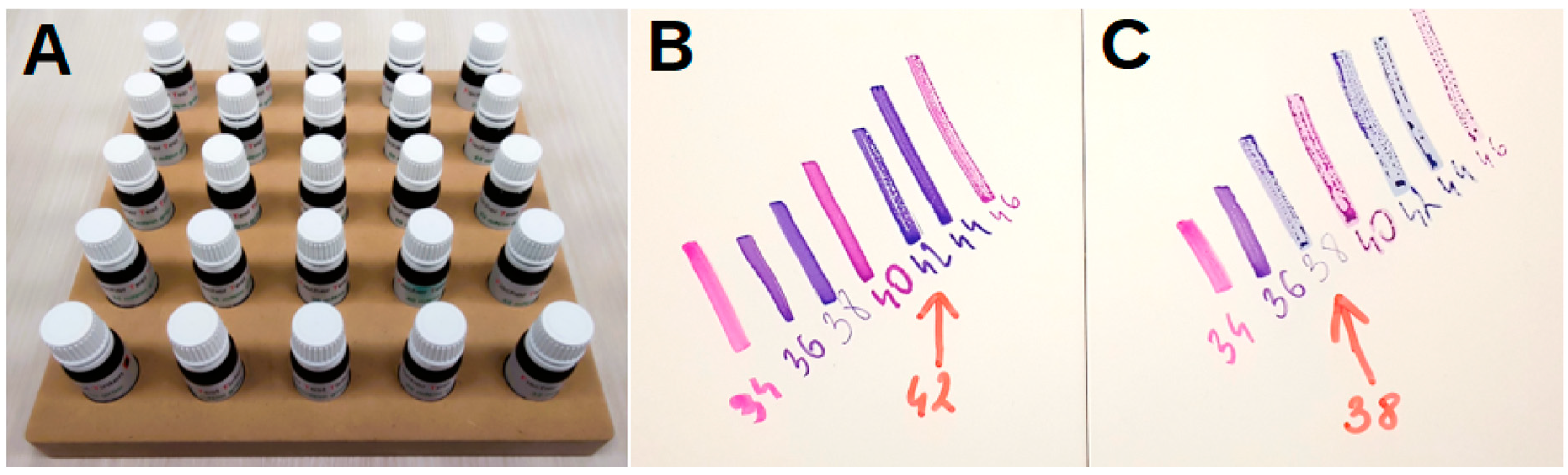 Coatings 14 01124 g010