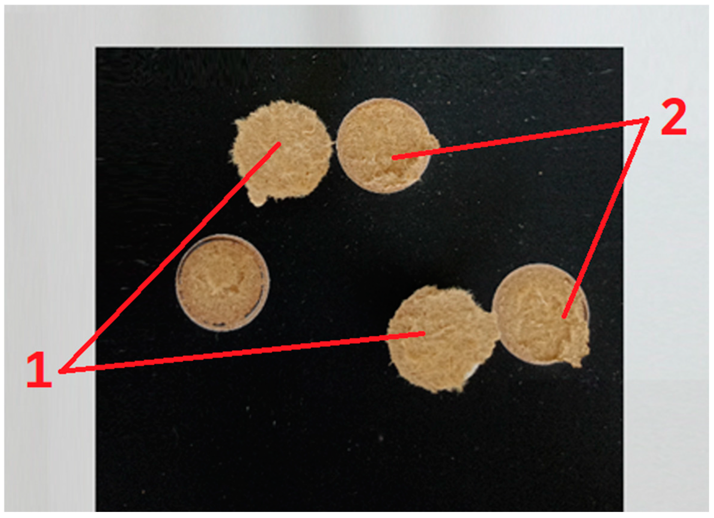 Coatings 14 01124 g013