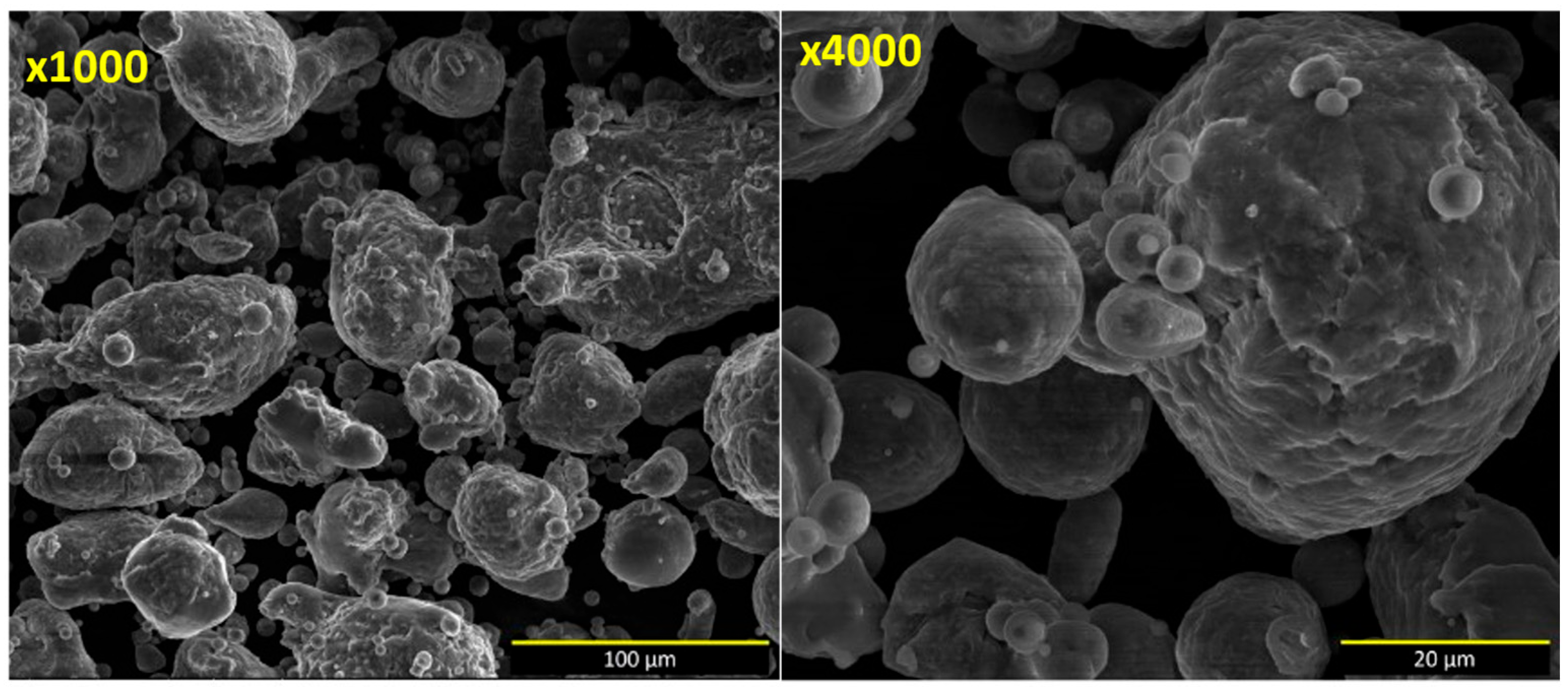 Coatings 14 01135 g001