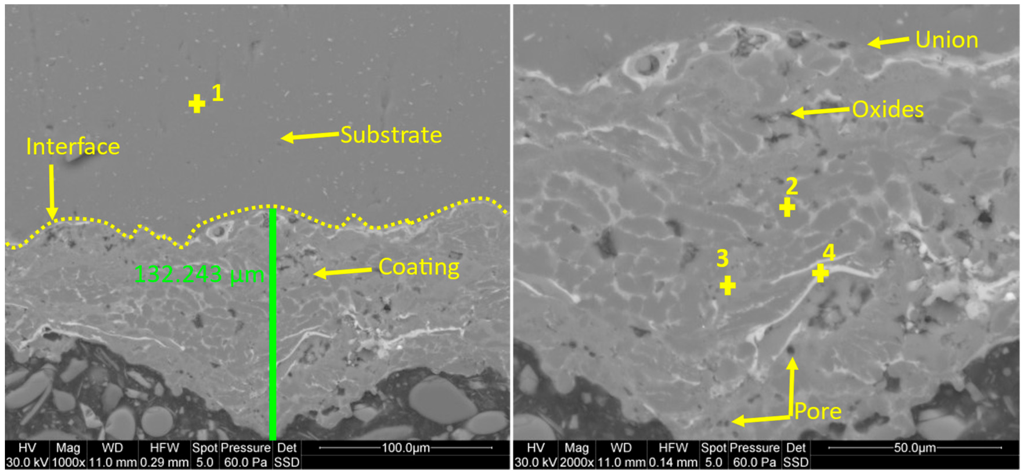 Coatings 14 01135 g004