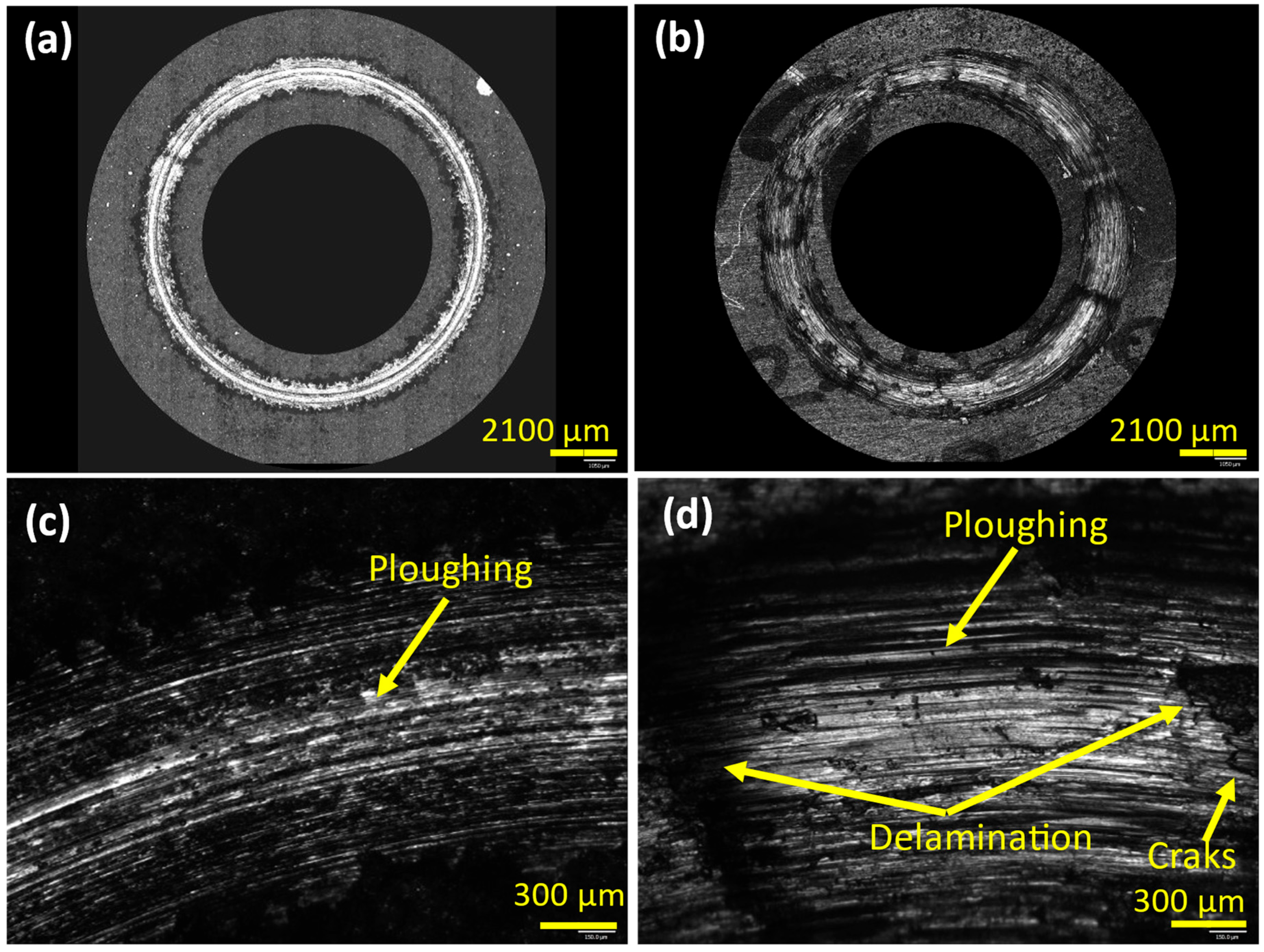 Coatings 14 01135 g010