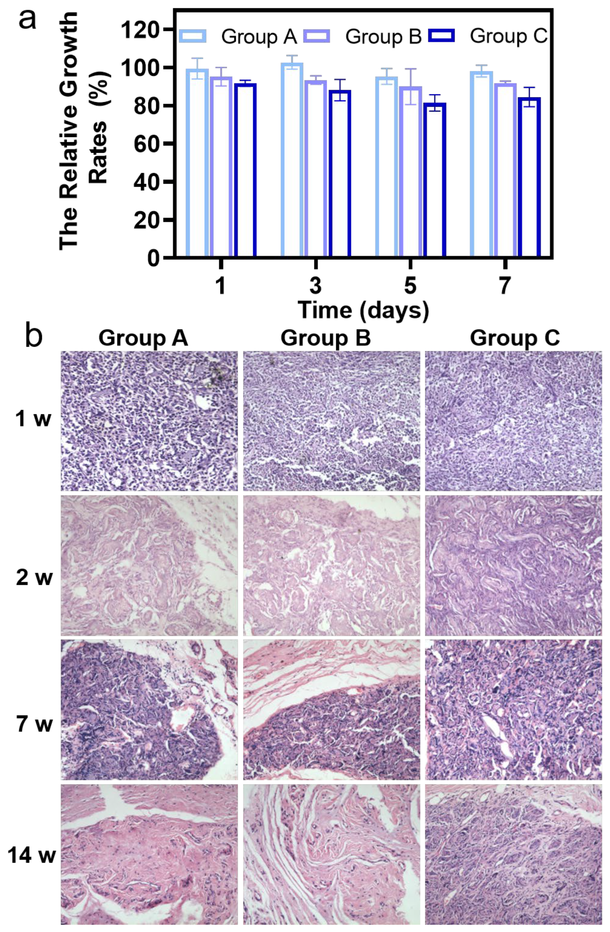Coatings 14 01137 g007