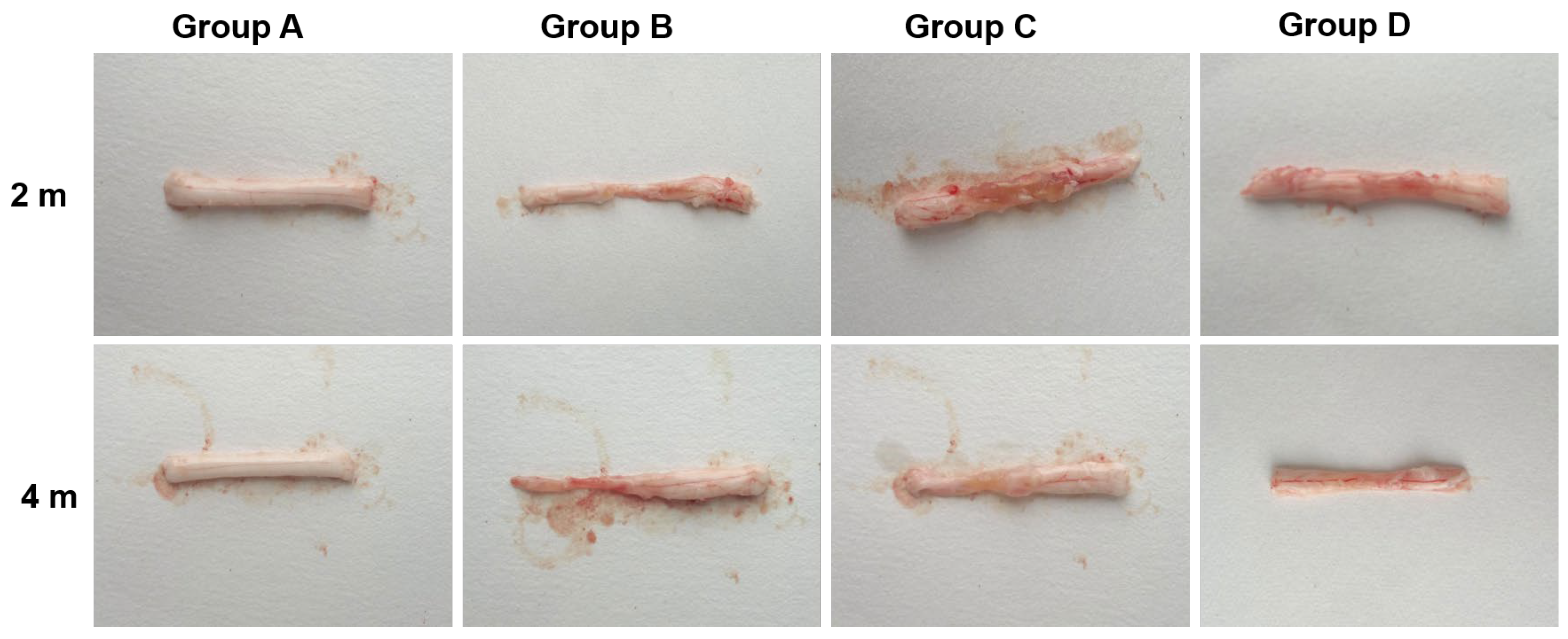 Coatings 14 01137 g010
