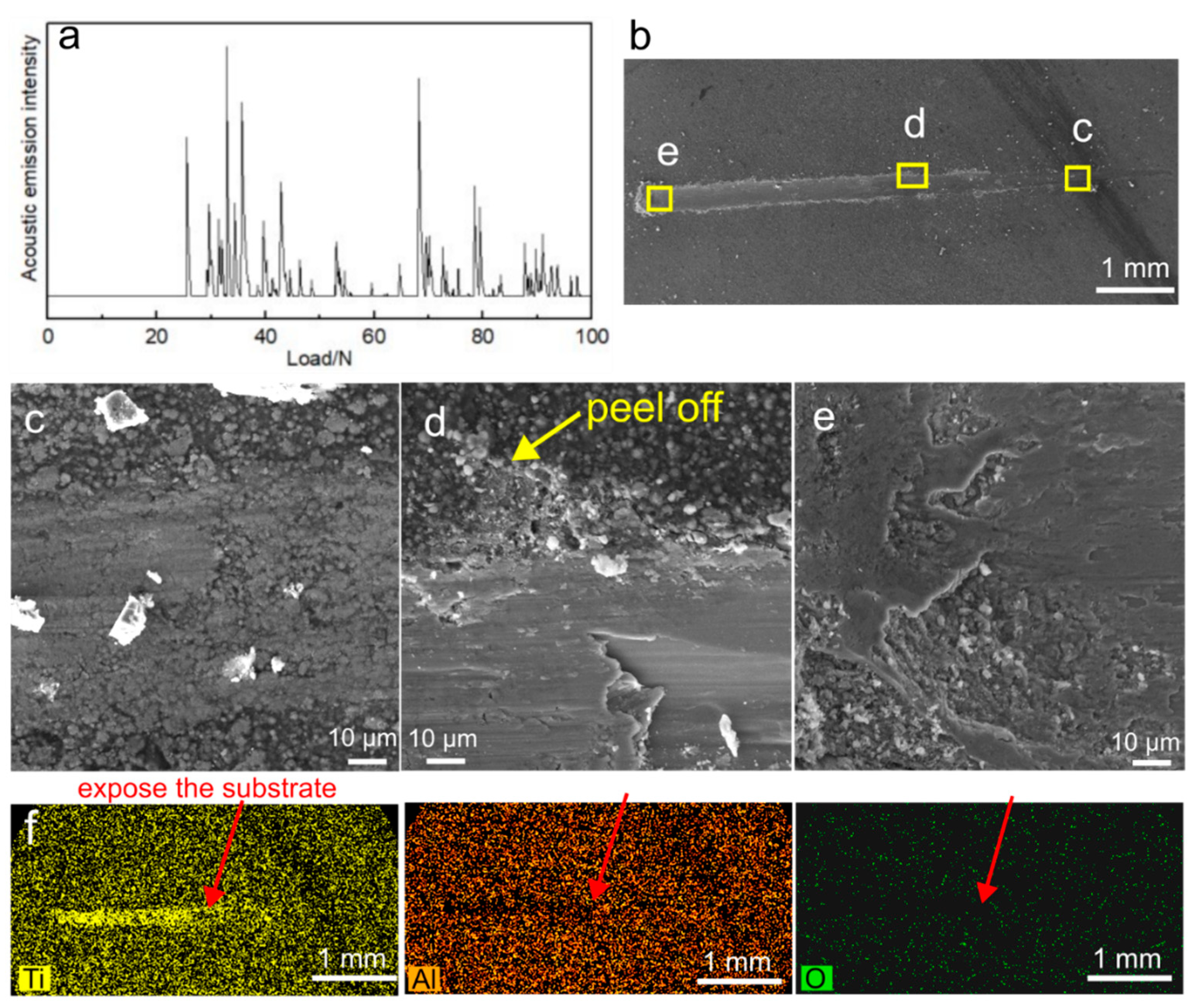 Coatings 14 01139 g009