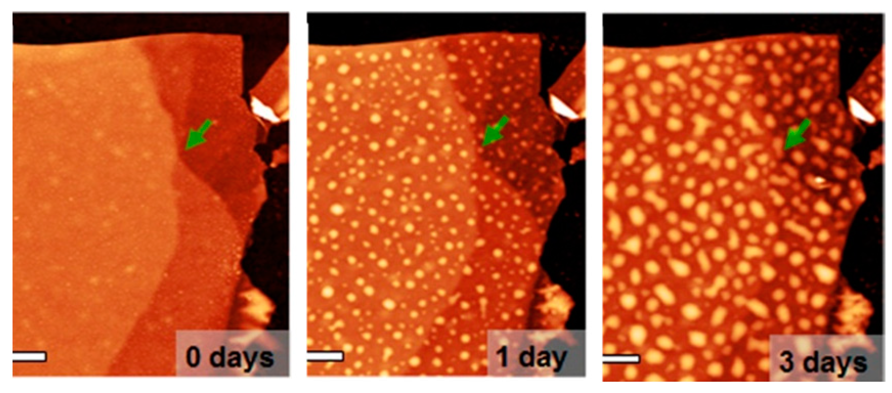 Coatings 14 01141 g003