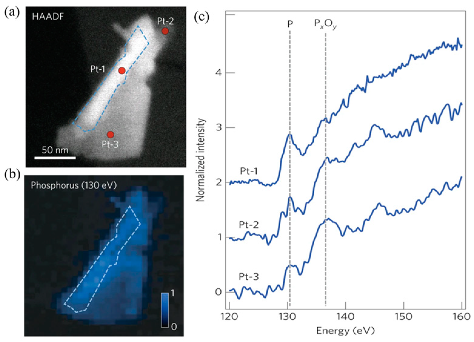 Coatings 14 01141 g005