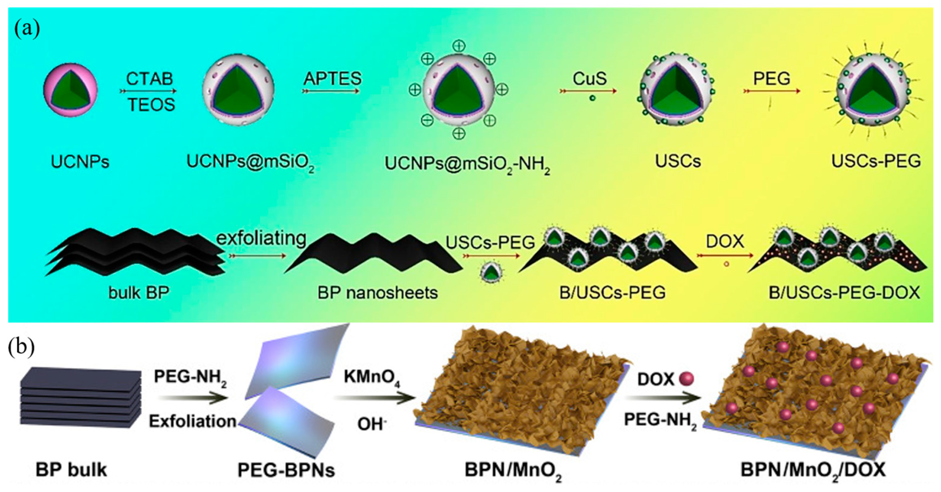 Coatings 14 01141 g007