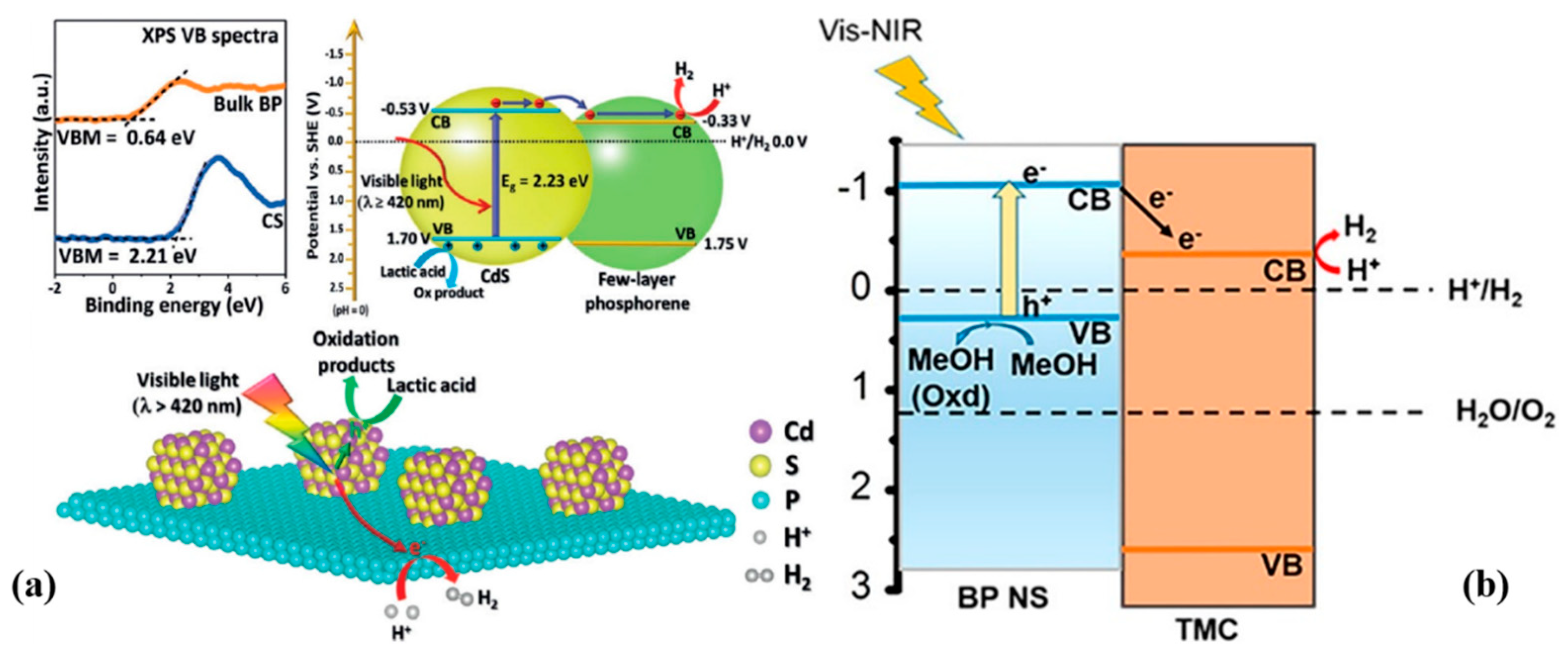 Coatings 14 01141 g009