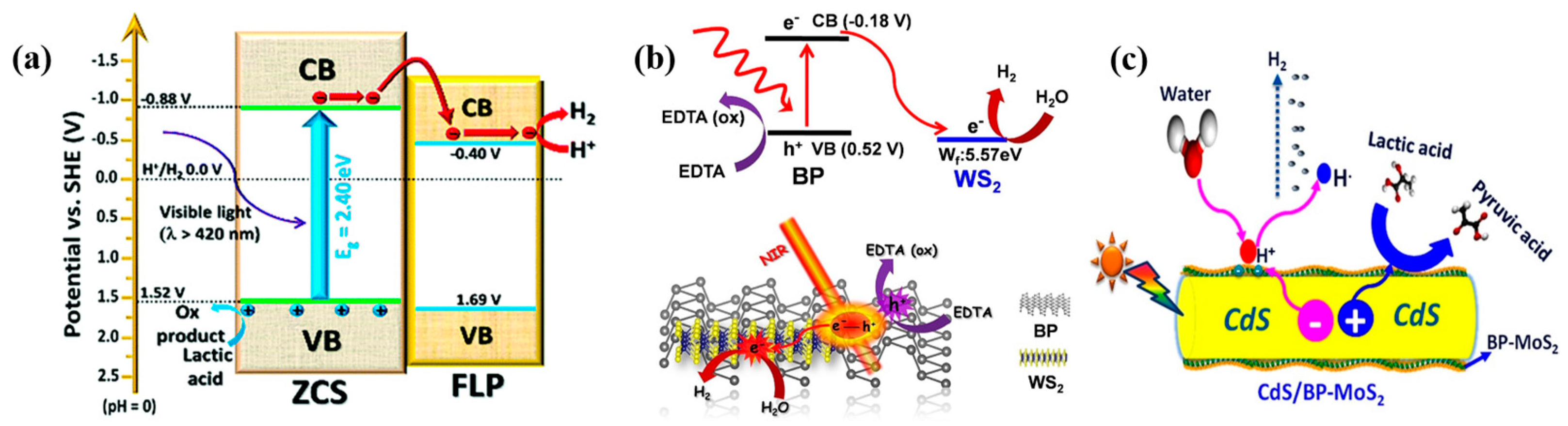 Coatings 14 01141 g011