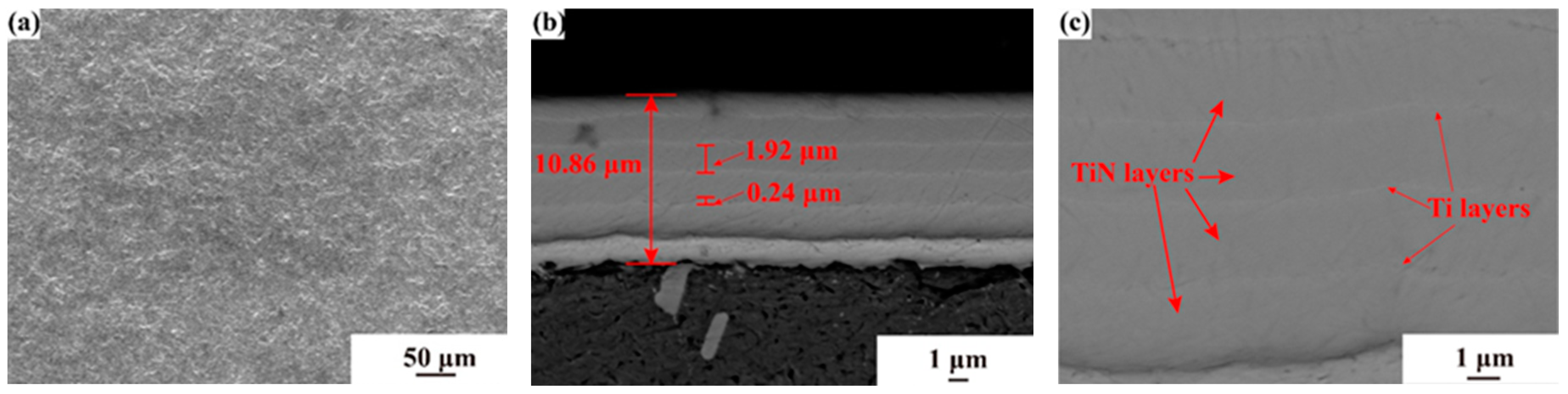 Coatings 14 01144 g004 Coatings 14 01144 g004