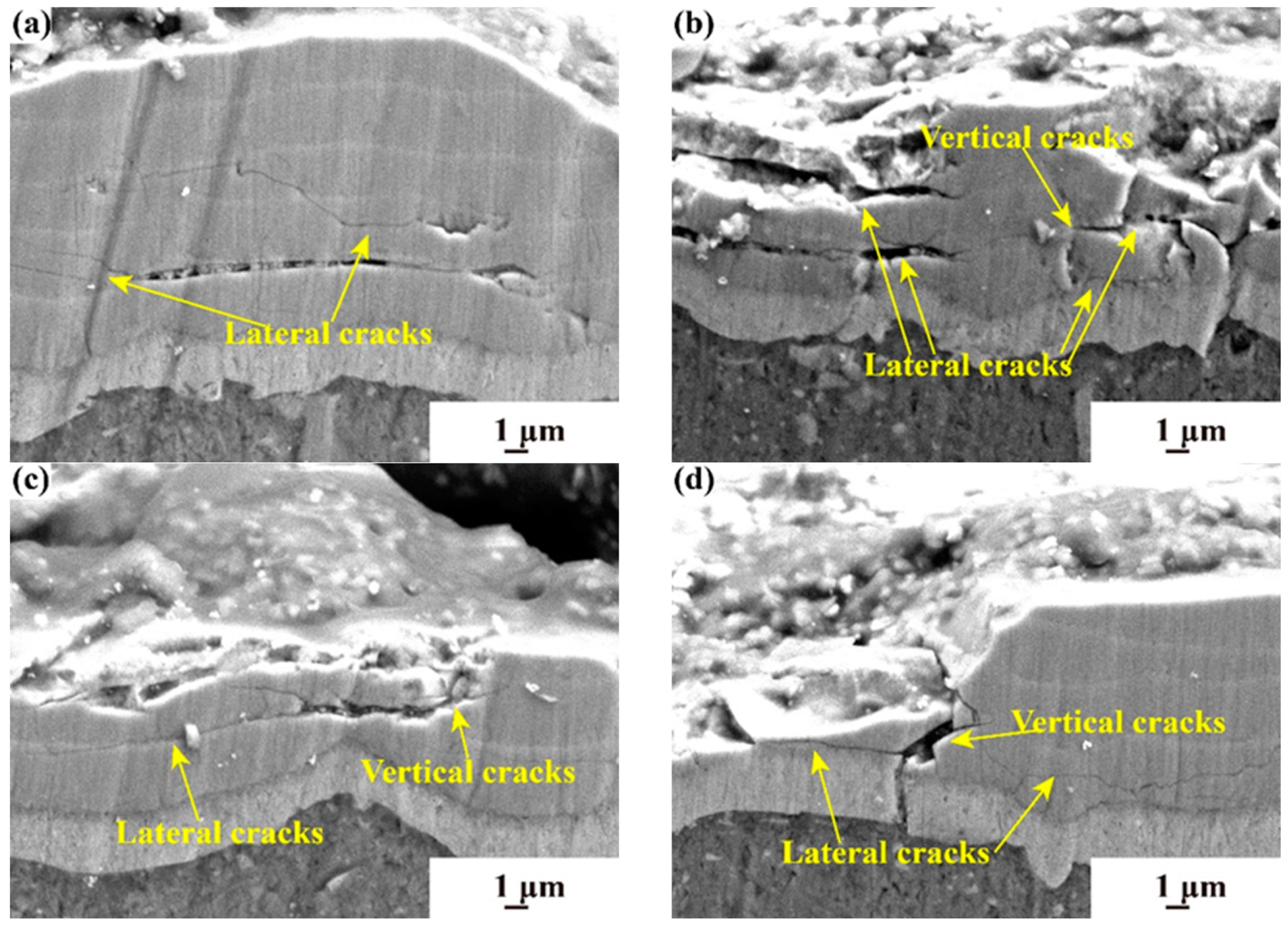 Coatings 14 01144 g009 Coatings 14 01144 g009
