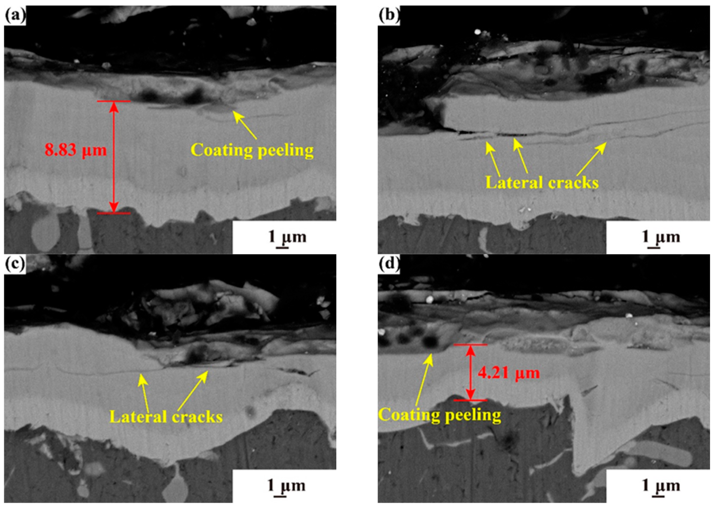 Coatings 14 01144 g010 Coatings 14 01144 g010