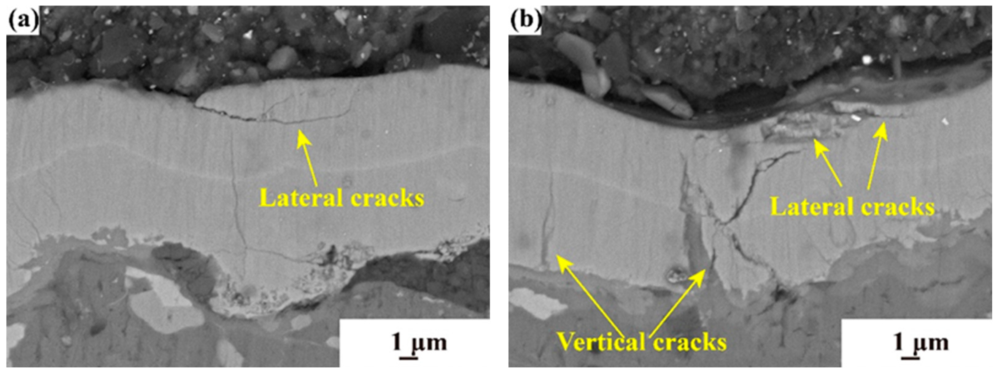 Coatings 14 01144 g011 Coatings 14 01144 g011