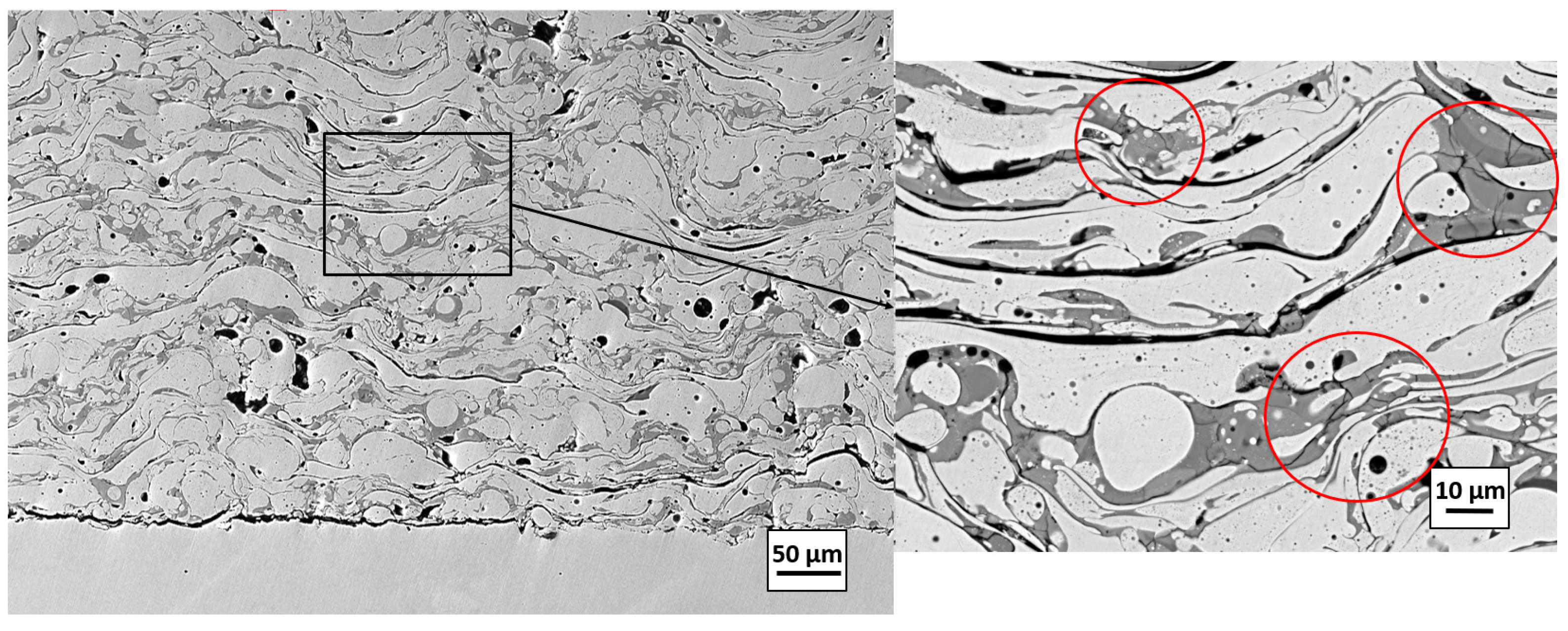 Coatings 14 01145 g002