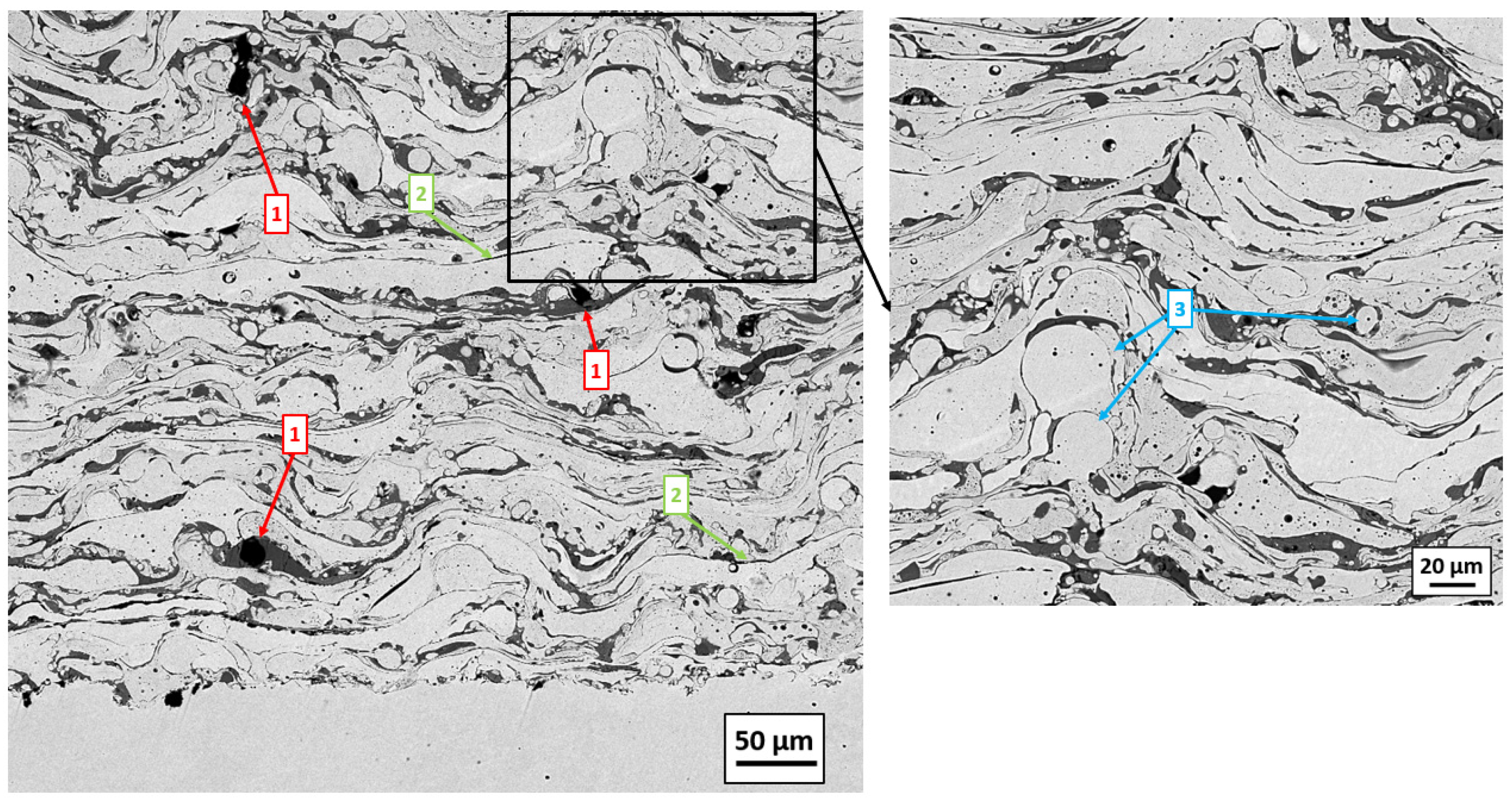 Coatings 14 01145 g003
