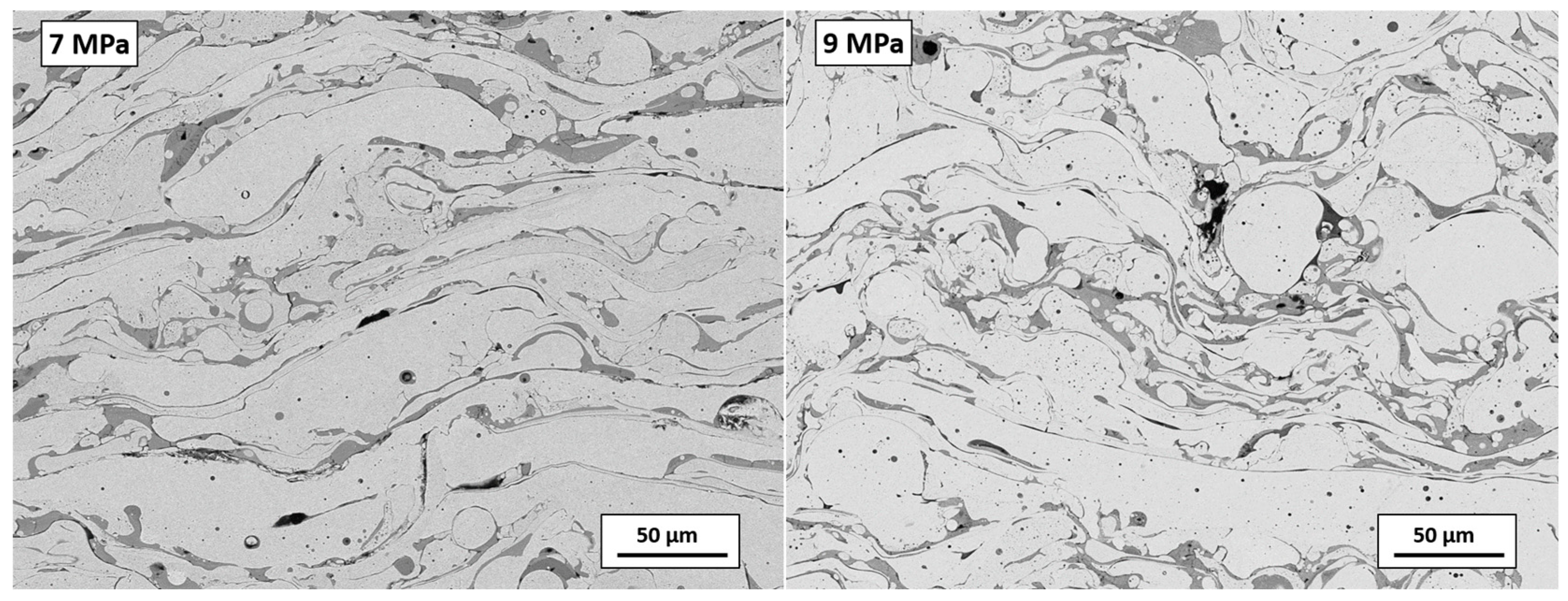 Coatings 14 01145 g004