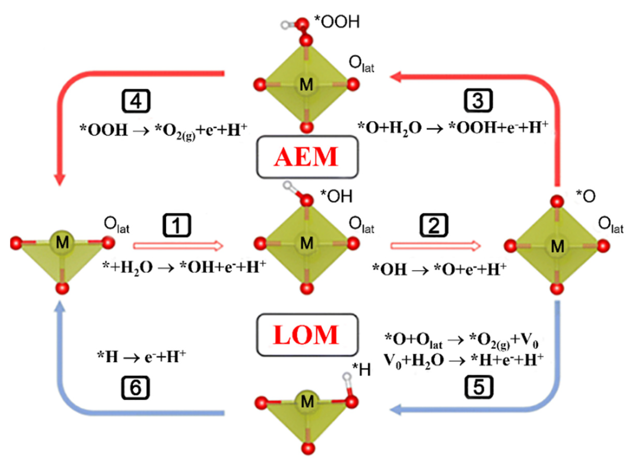 Coatings 14 01147 g001