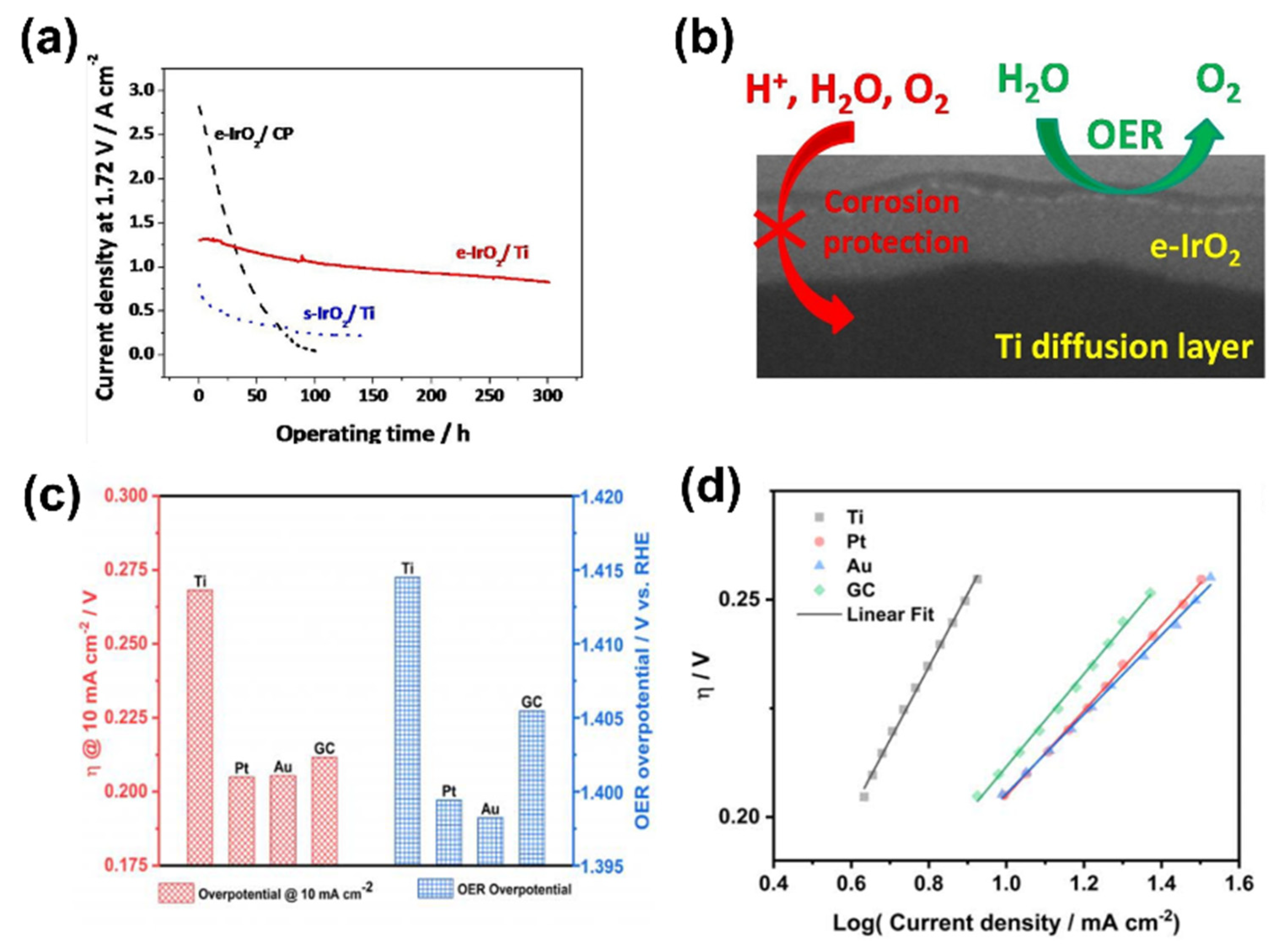 Coatings 14 01147 g002