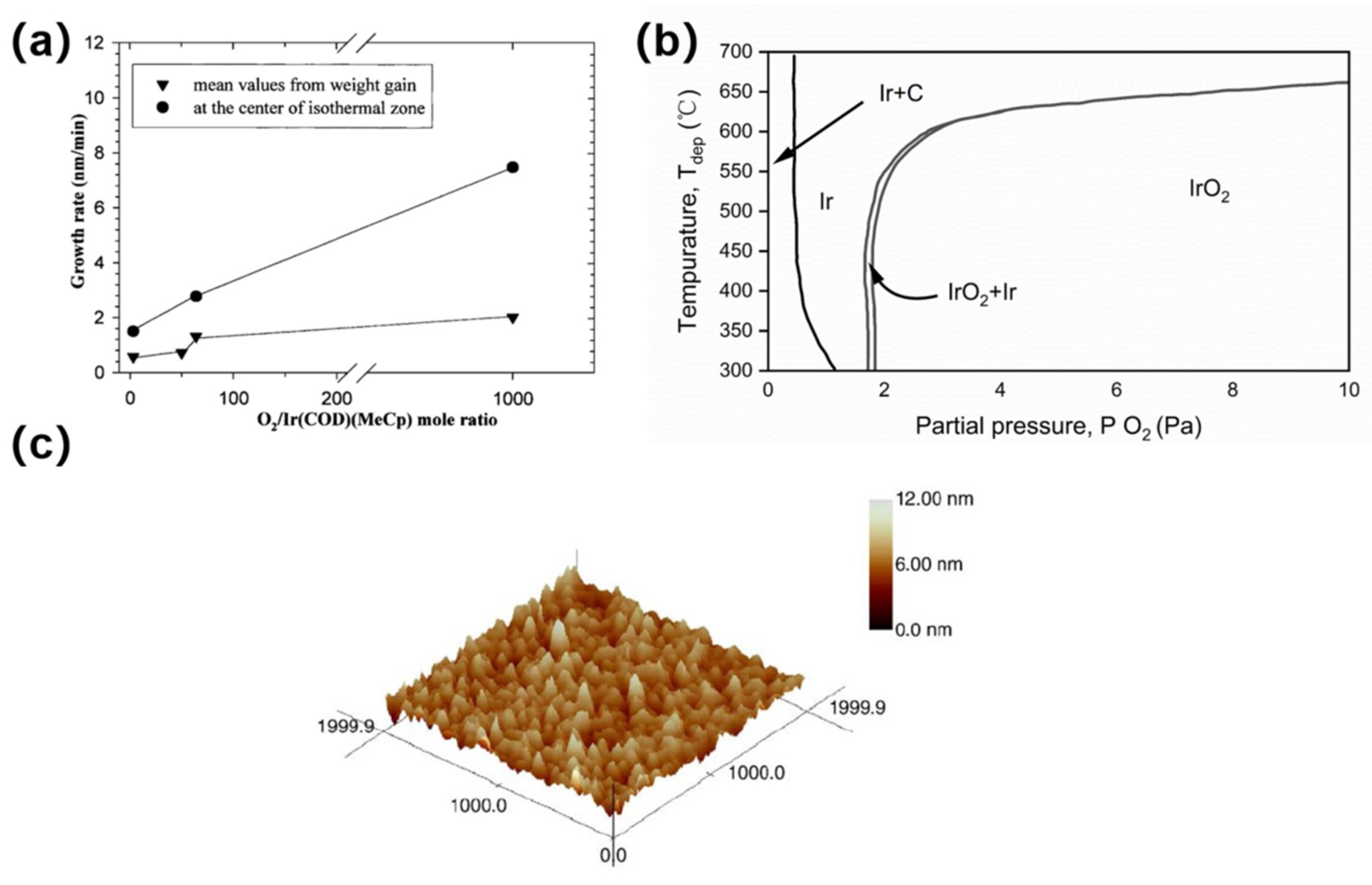 Coatings 14 01147 g006