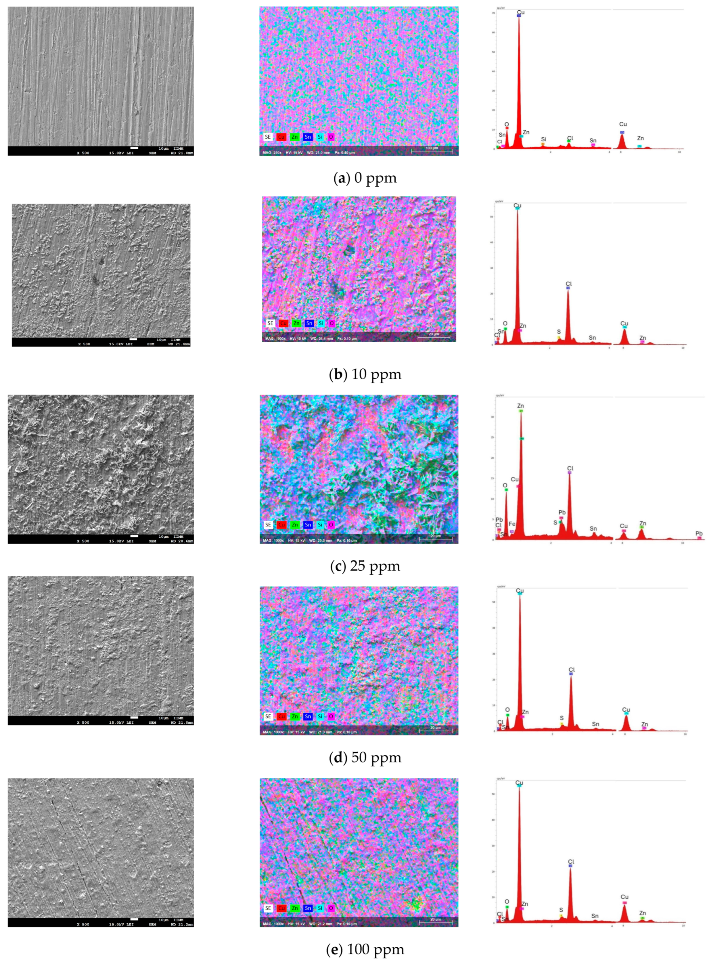 Coatings 14 01152 g006