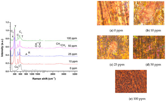 Fatty Imidazolines as a Green Corrosion Inhibitor of Bronze Exposed to ...