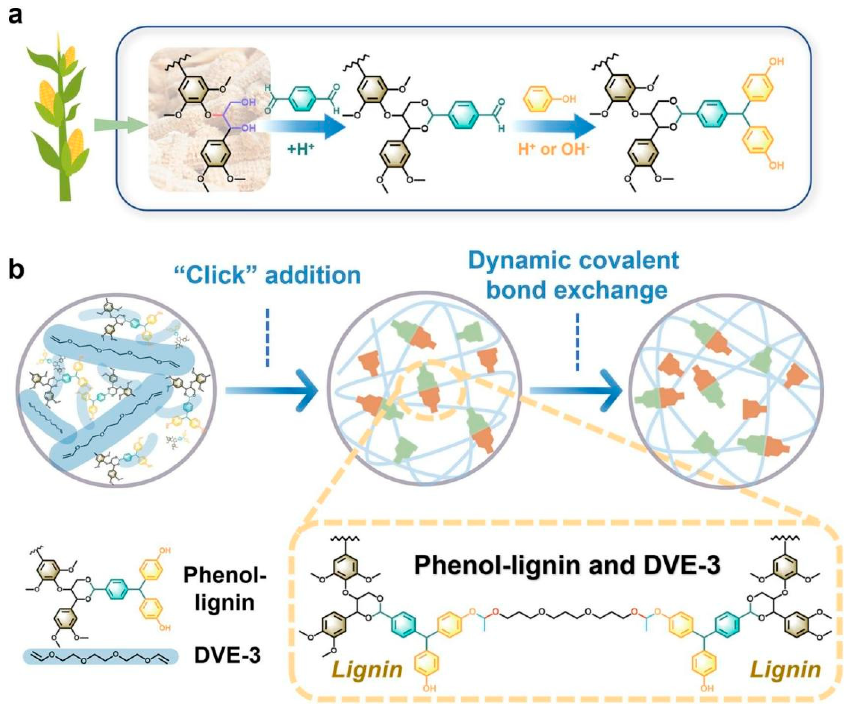 Coatings 14 01153 g001