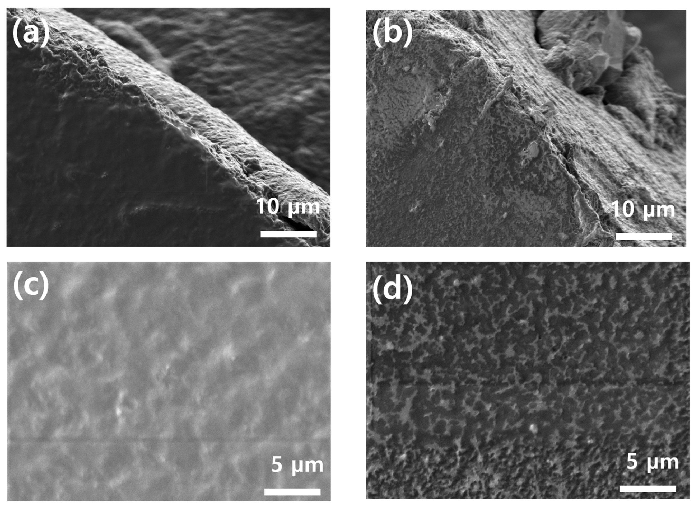 Coatings 14 01158 g004