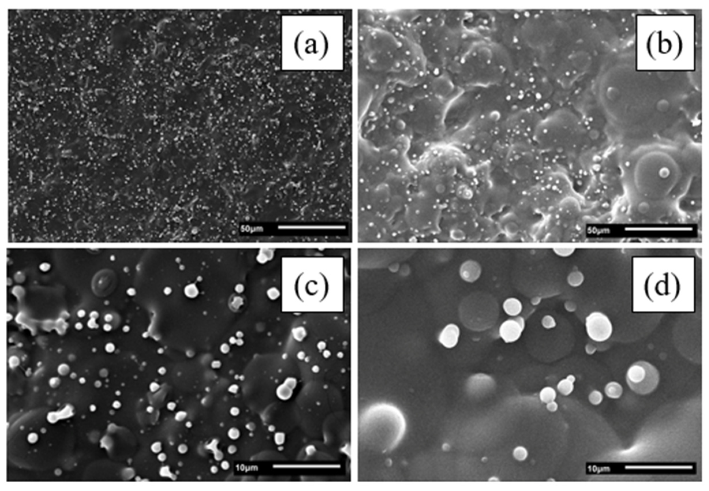 Coatings 14 01159 g002