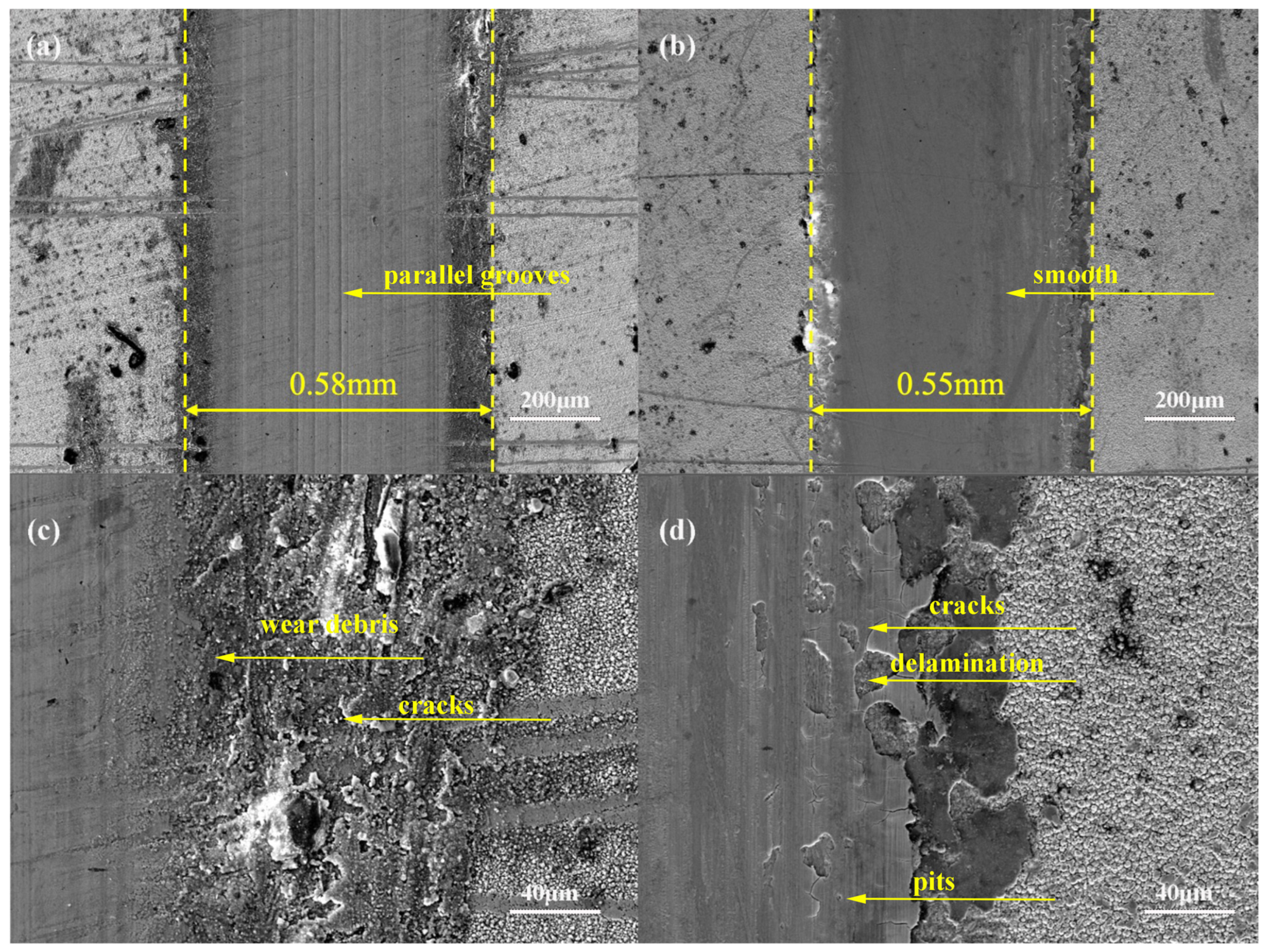 Coatings 14 01160 g010