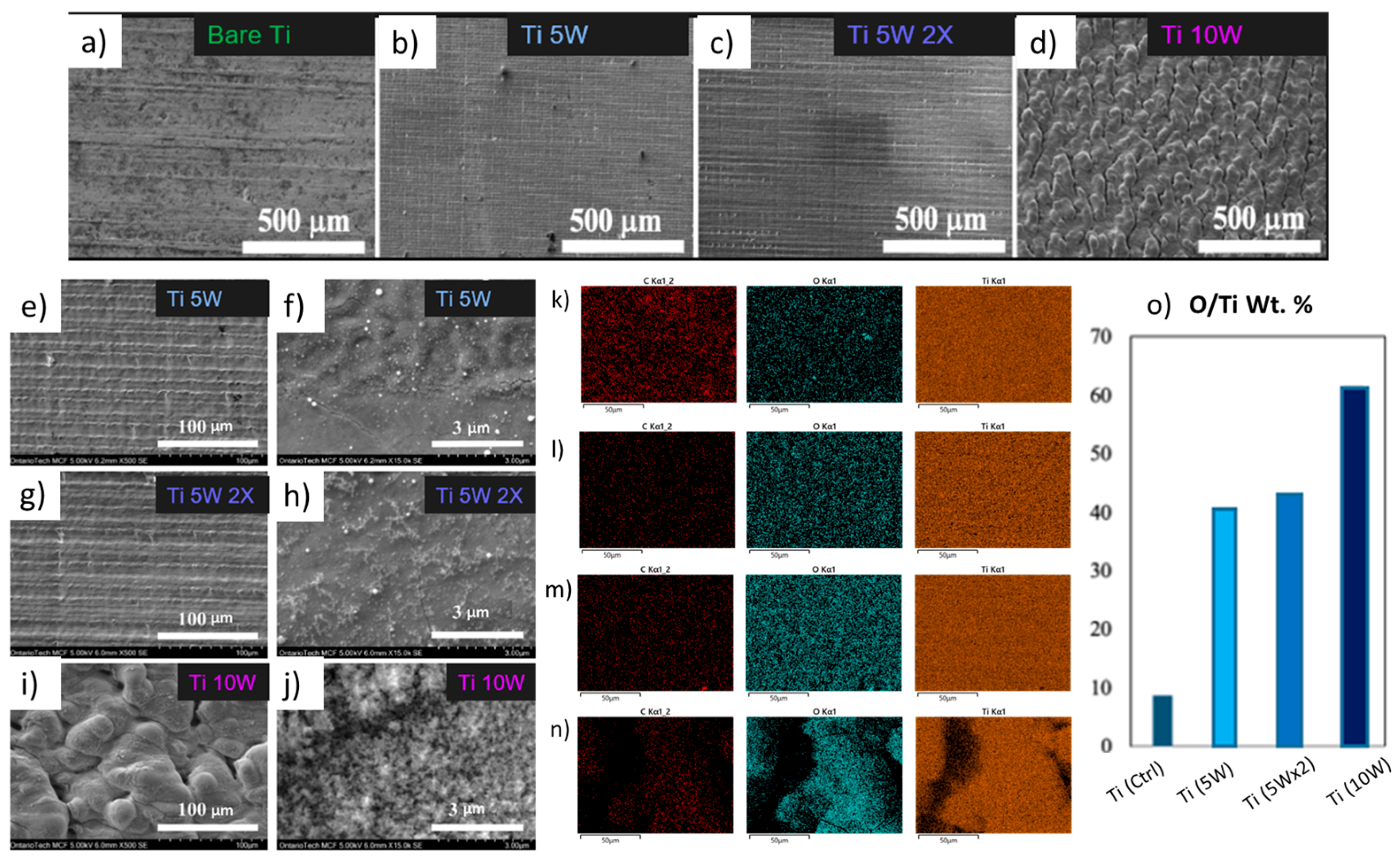 Coatings 14 01163 g006