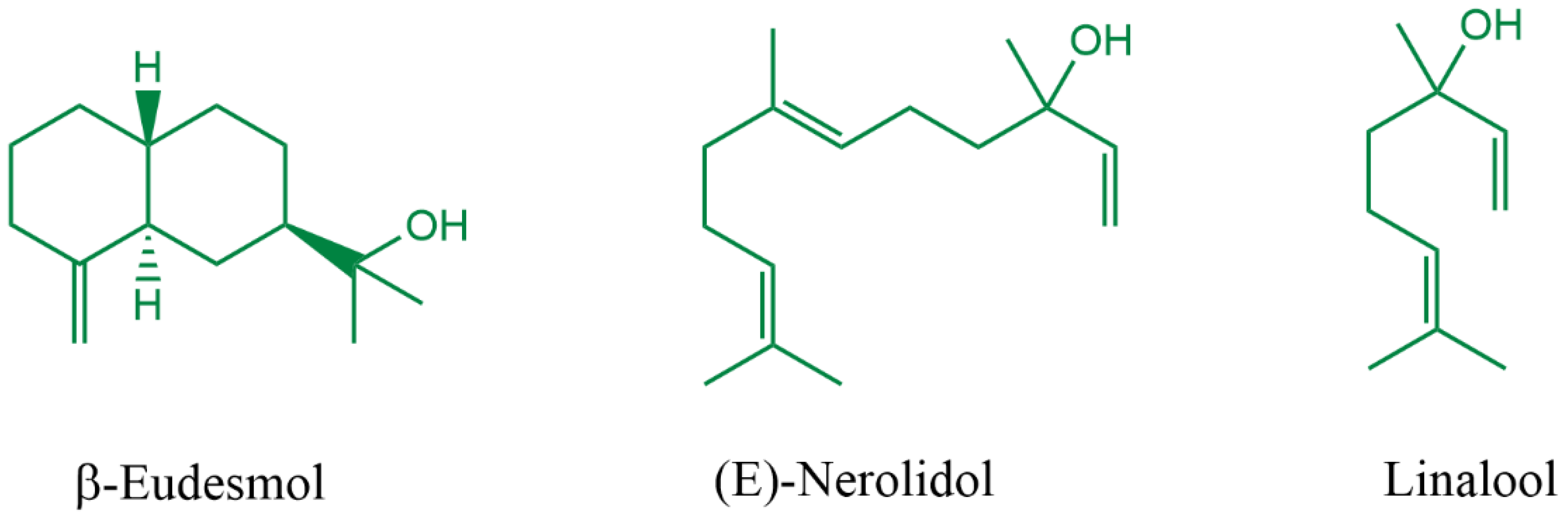 Coatings 14 01164 g001