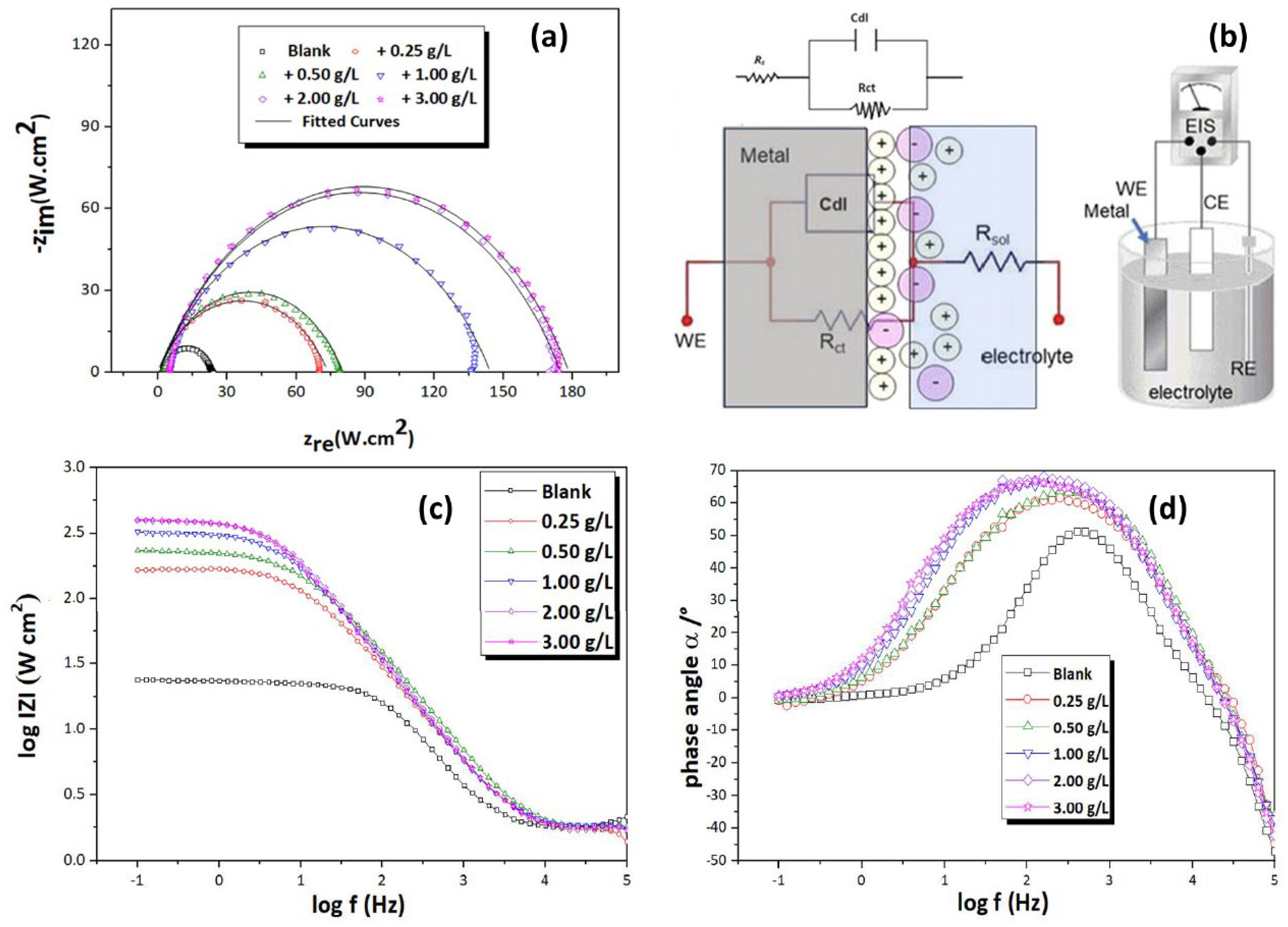 Coatings 14 01164 g004